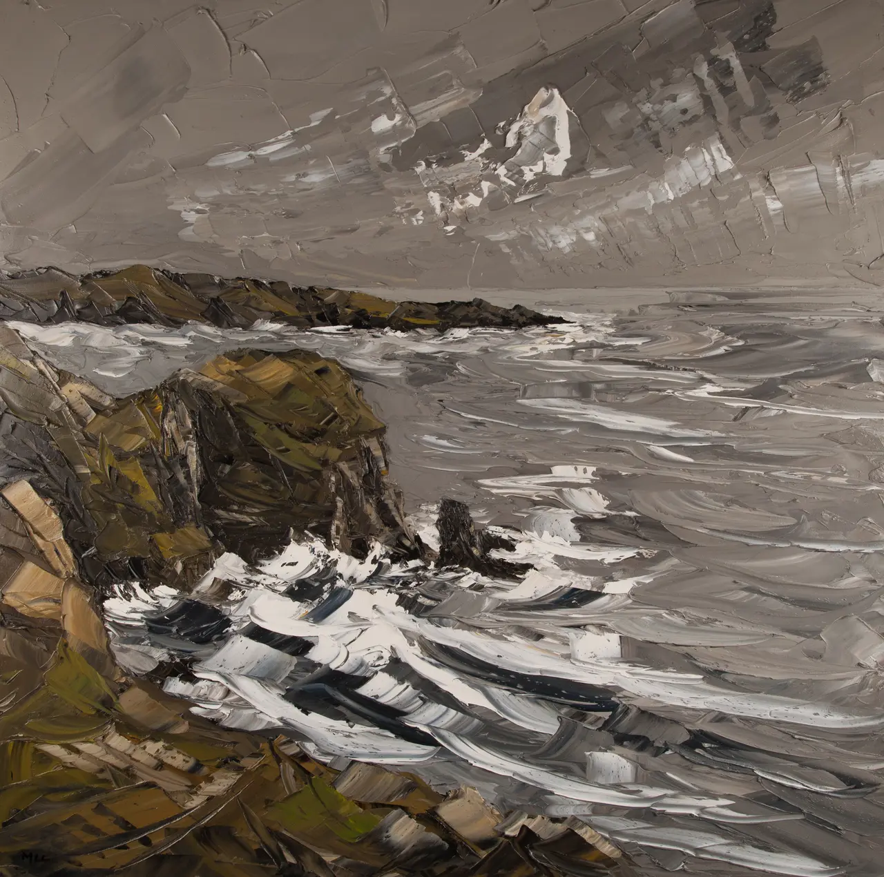 Martin Llewellyn - south stack cliffs