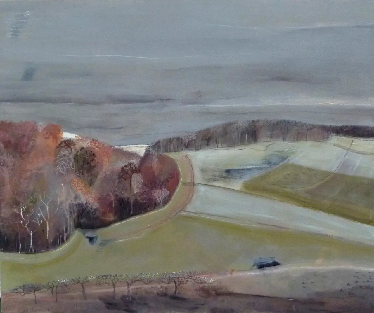 Miranda Gardiner - evening sun on field boundary