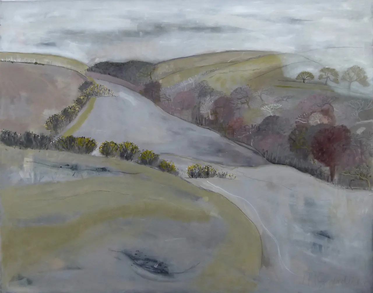 Miranda Gardiner - mist coming down on owley corner