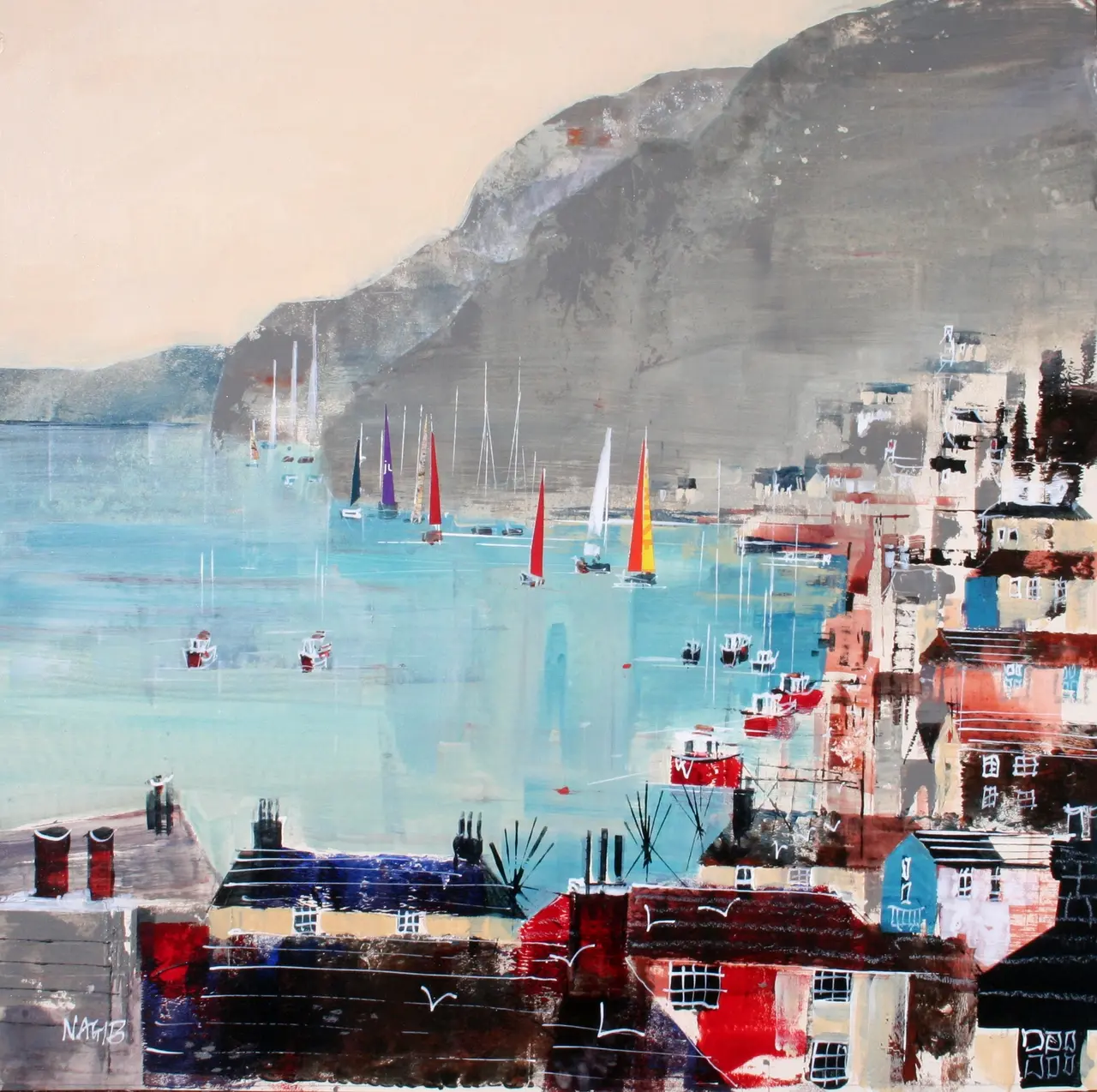Nagib Karsan - sailing on the dart