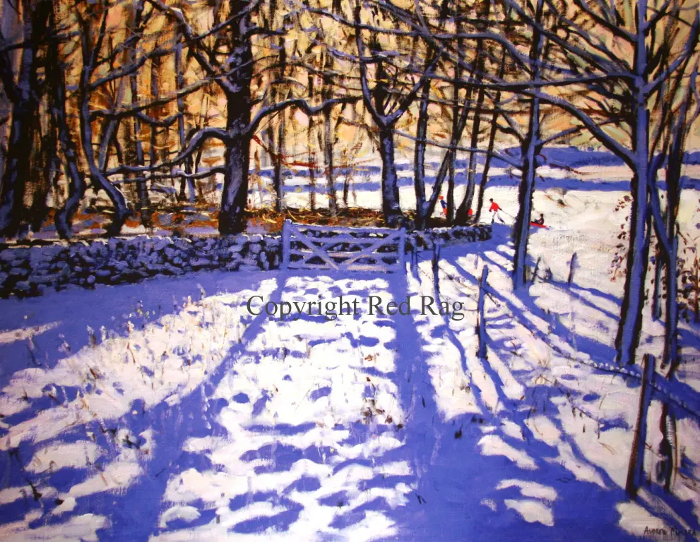 Andrew Macara - the gate, winters day