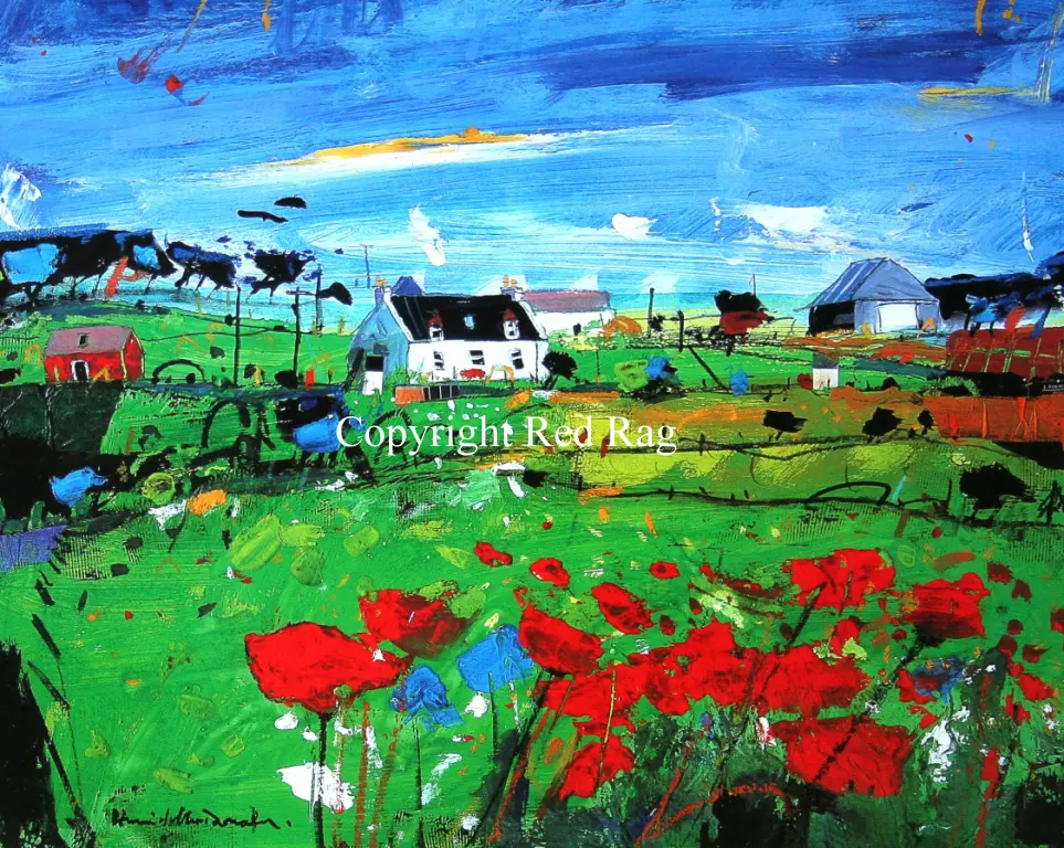 Hamish MacDonald - poppy field, skye