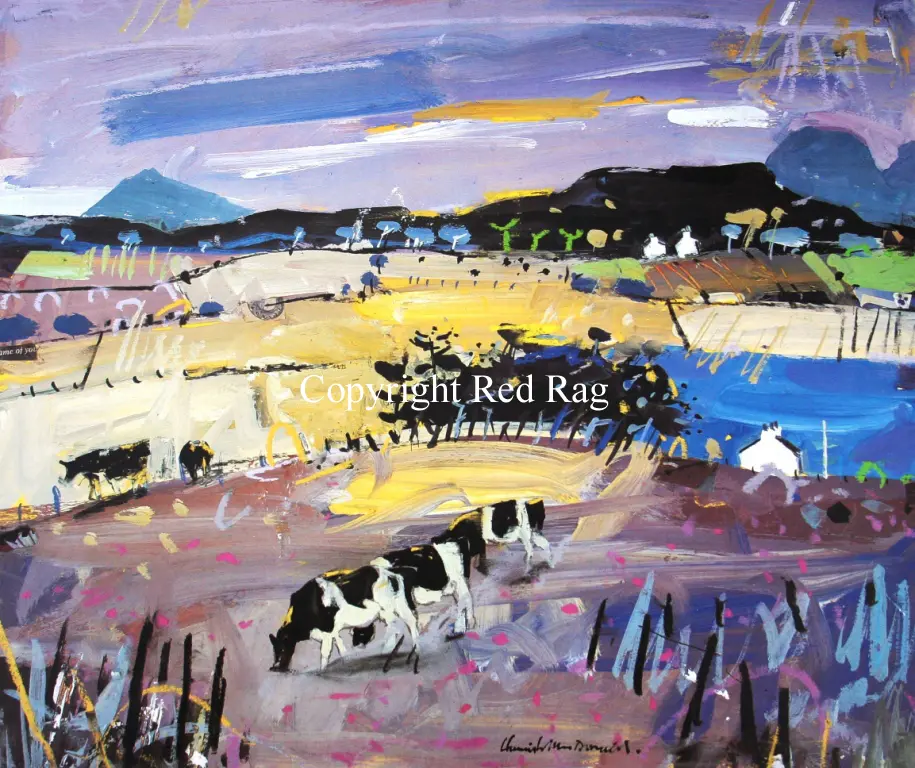 Hamish MacDonald - evening wester ross
