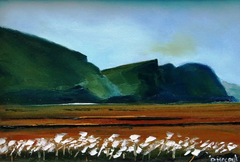Padraig McCAUL - minaun cliffs in spring