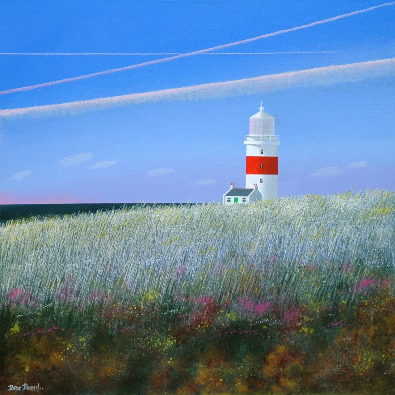 Peter Heard - robins lighthouse