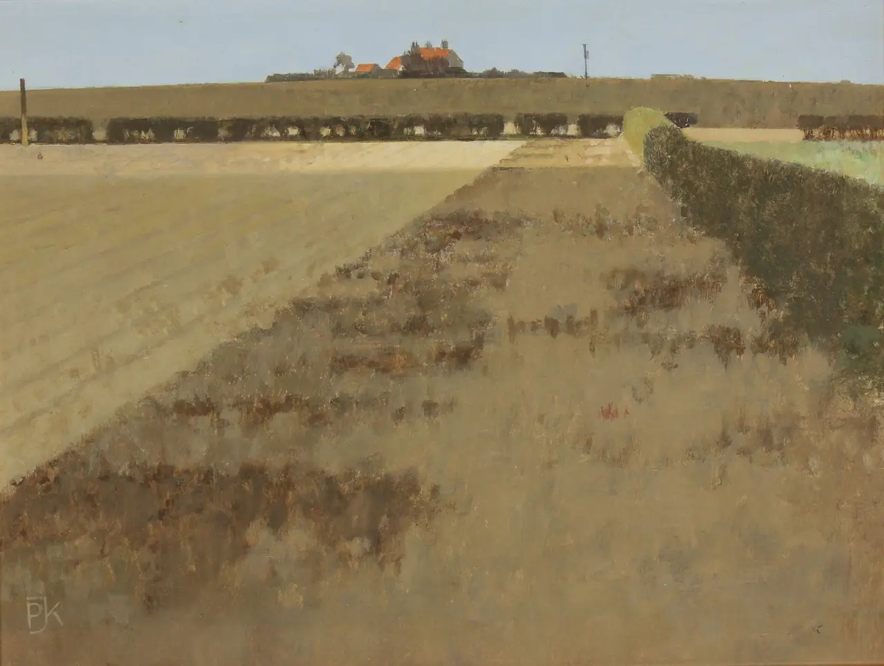 Peter Kelly - the house on the hill