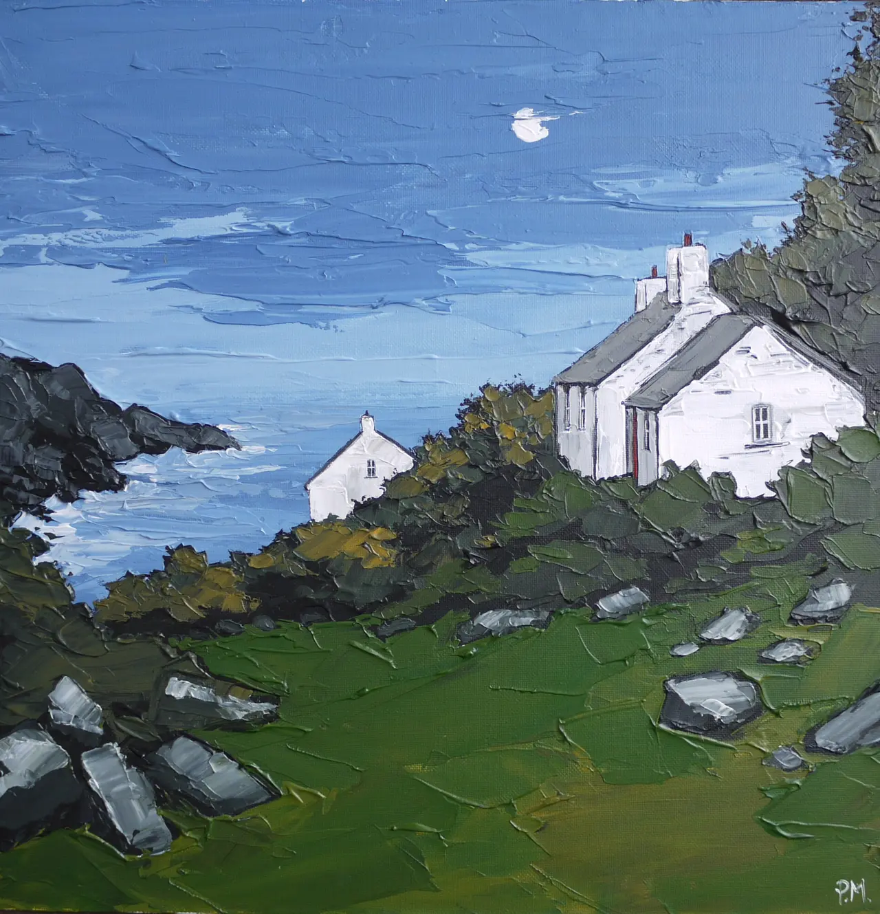 Peter Morgan - coast view, abercastell