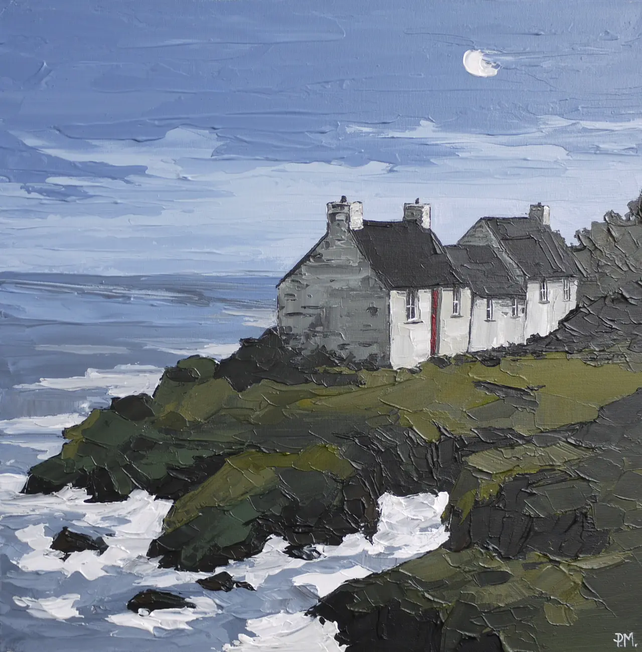 Peter Morgan - high tide at st. brides