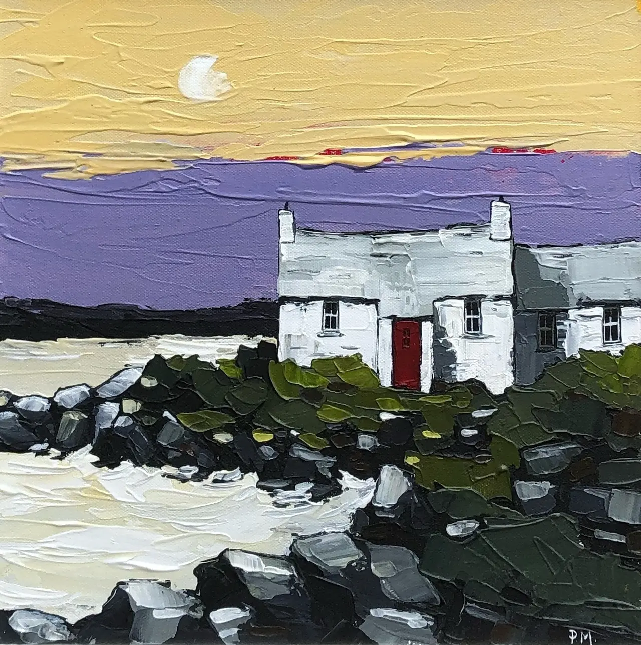 Peter Morgan - sunset at st brides, pembrokeshire