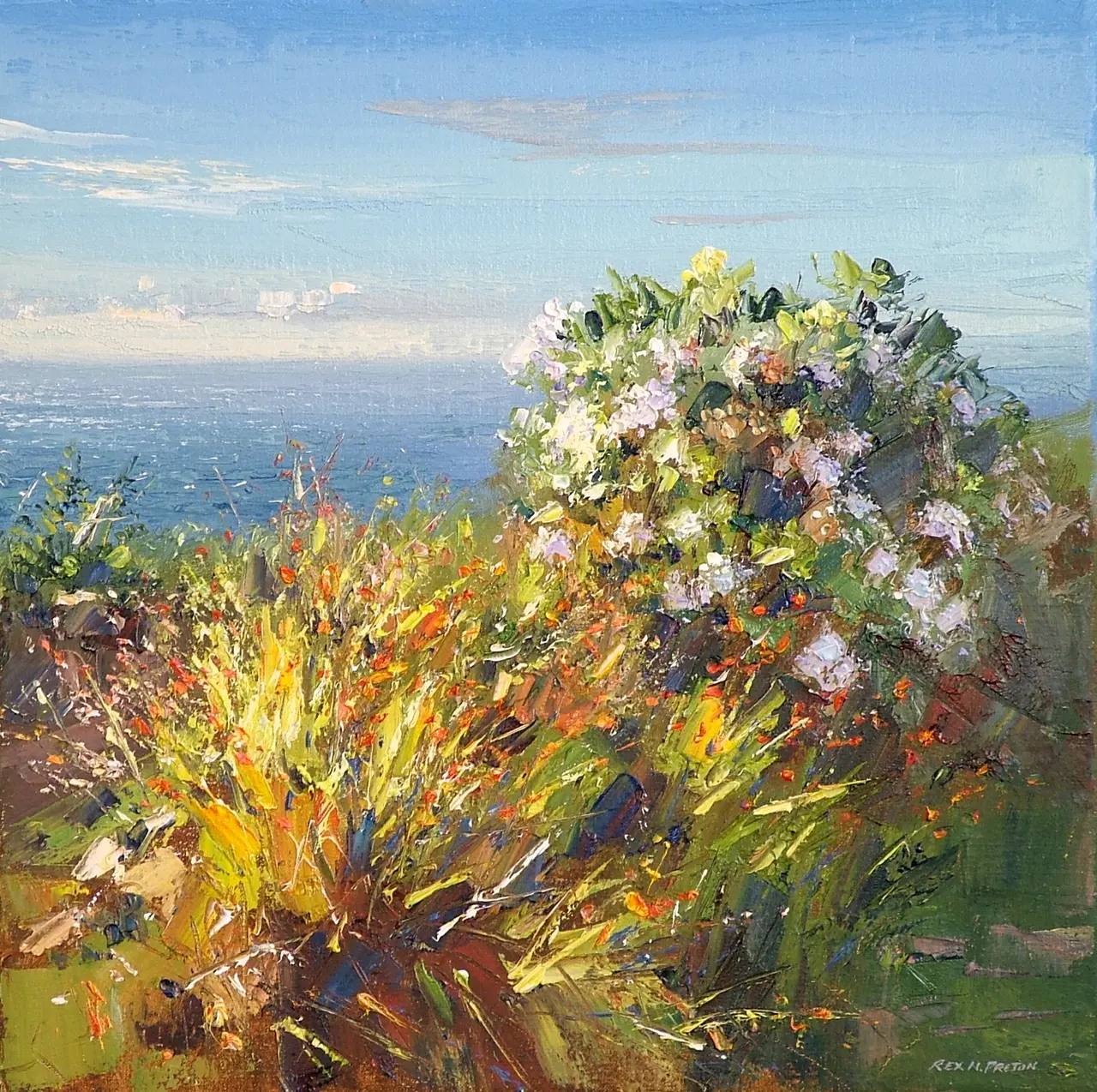 Rex Preston - cornish garden