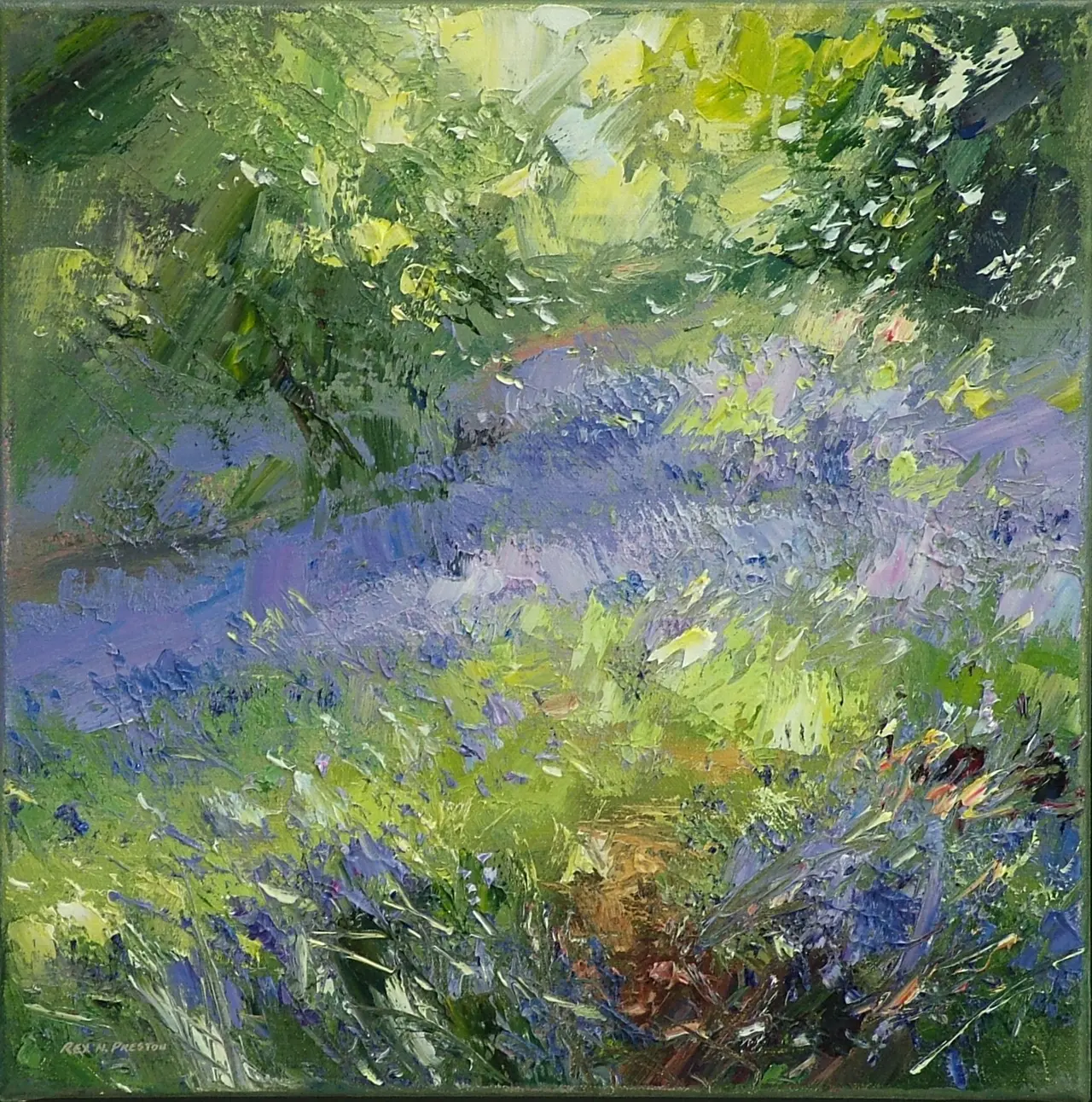 Rex Preston - spring sunlight, shining cliff woods