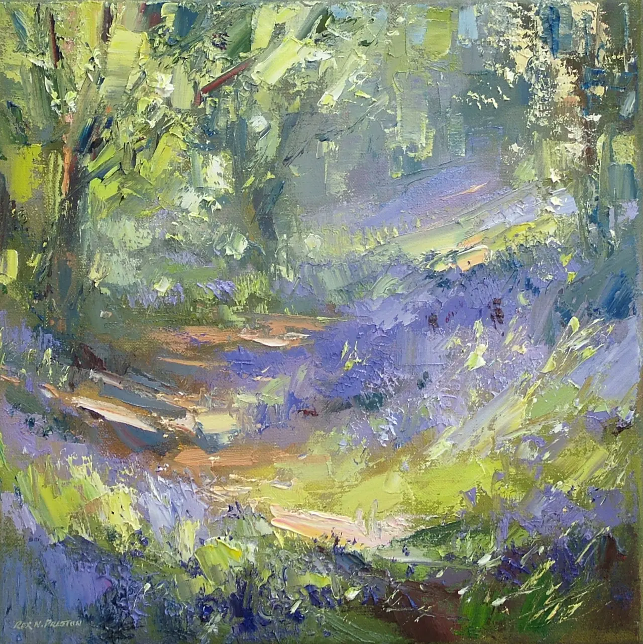 Rex Preston - bluebell wood