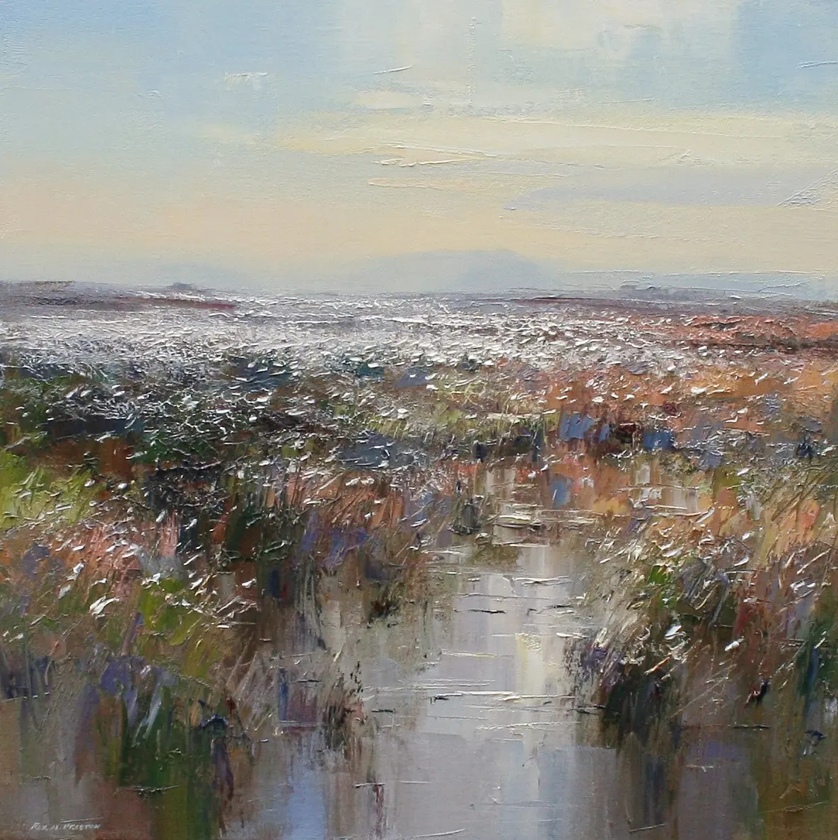 Rex Preston - cotton grass, white path moss, hallam moors