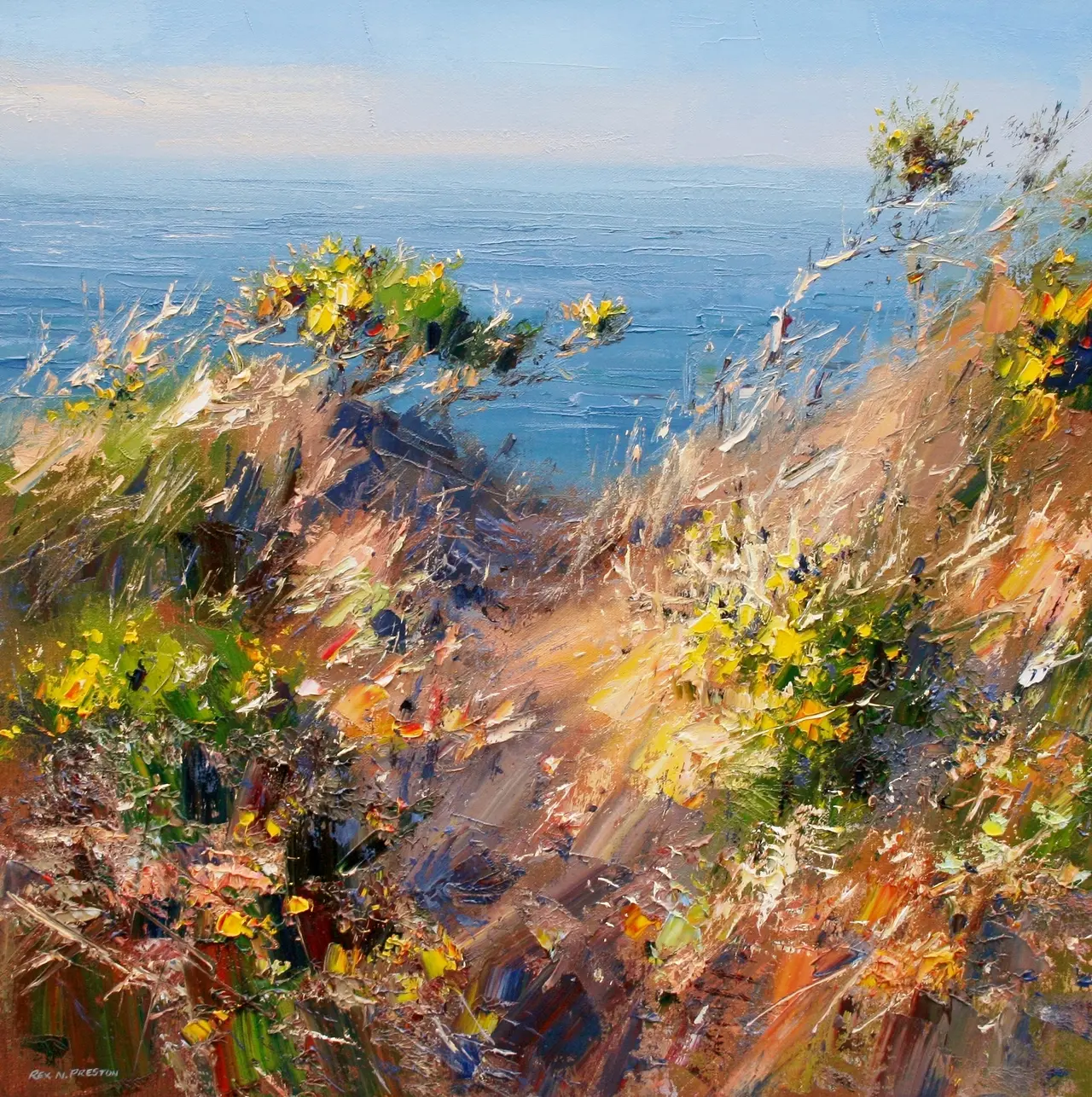 Rex Preston - afternoon sunlight, cornish cliffs