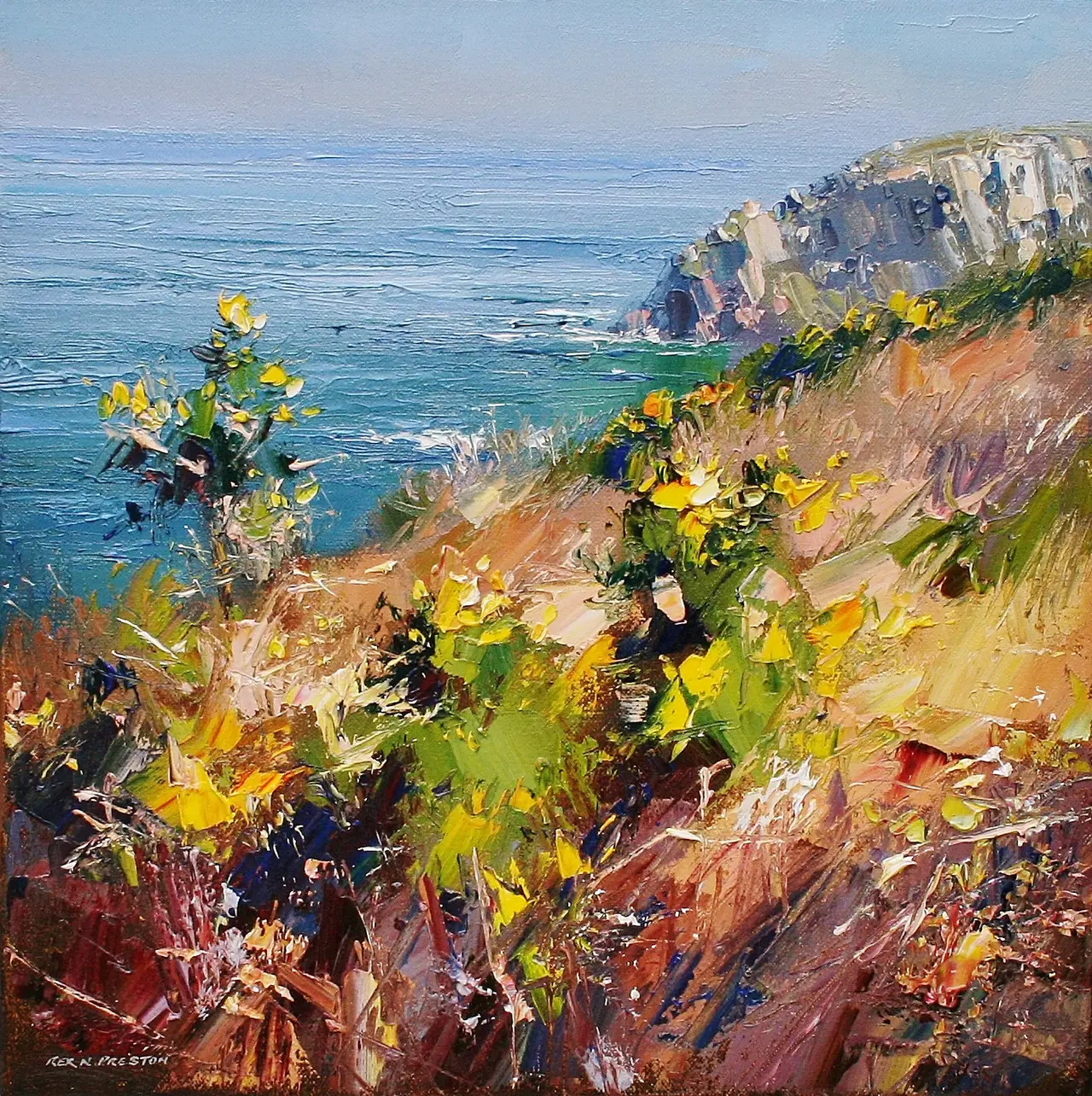 Rex Preston - sunny spring day, trevean cliffs, cornwall
