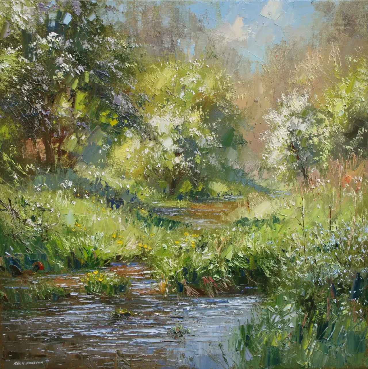 Rex Preston - may blossom, monk's dale, derbyshire