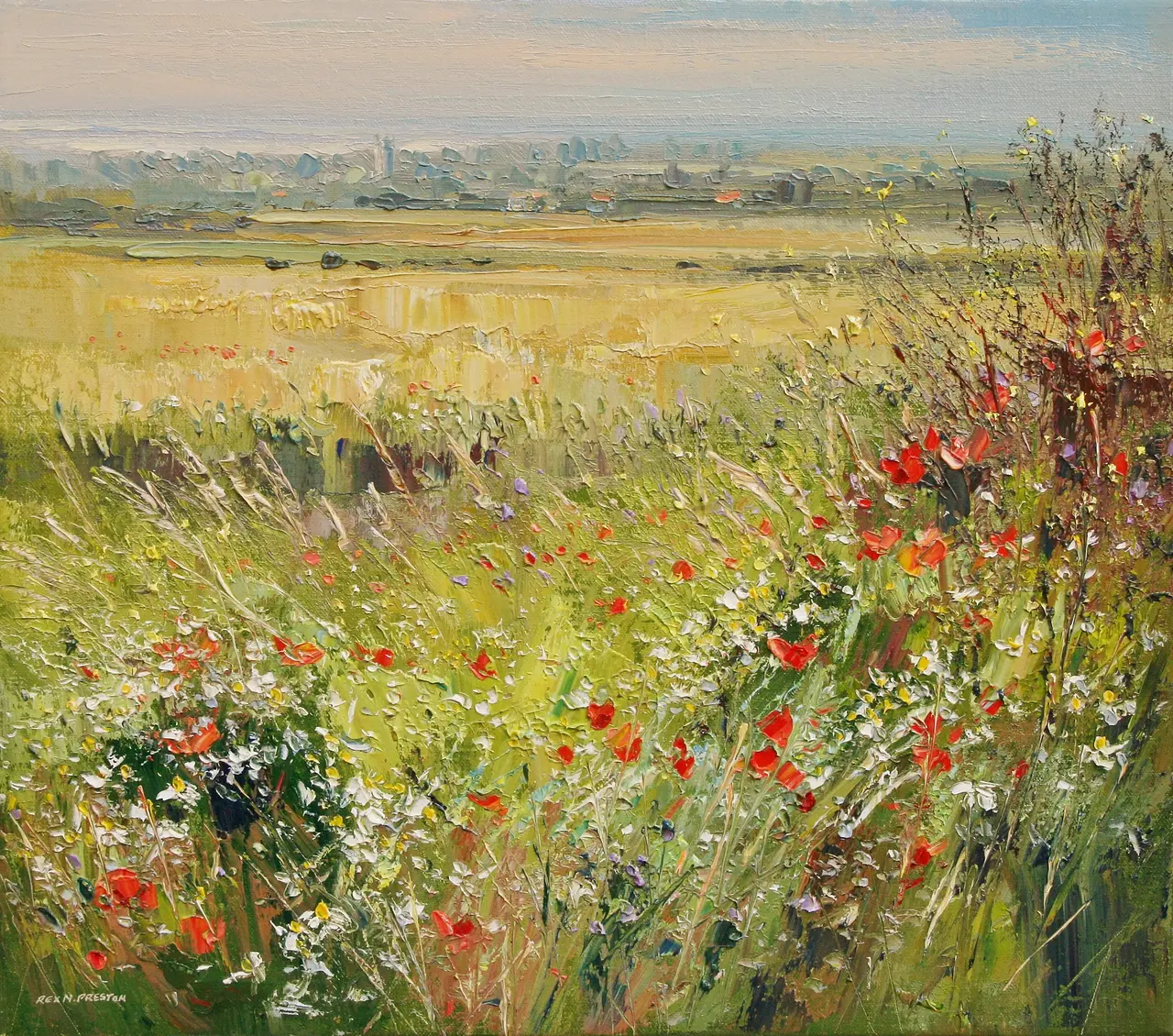 Rex Preston - poppies and daisies, norfolk coast