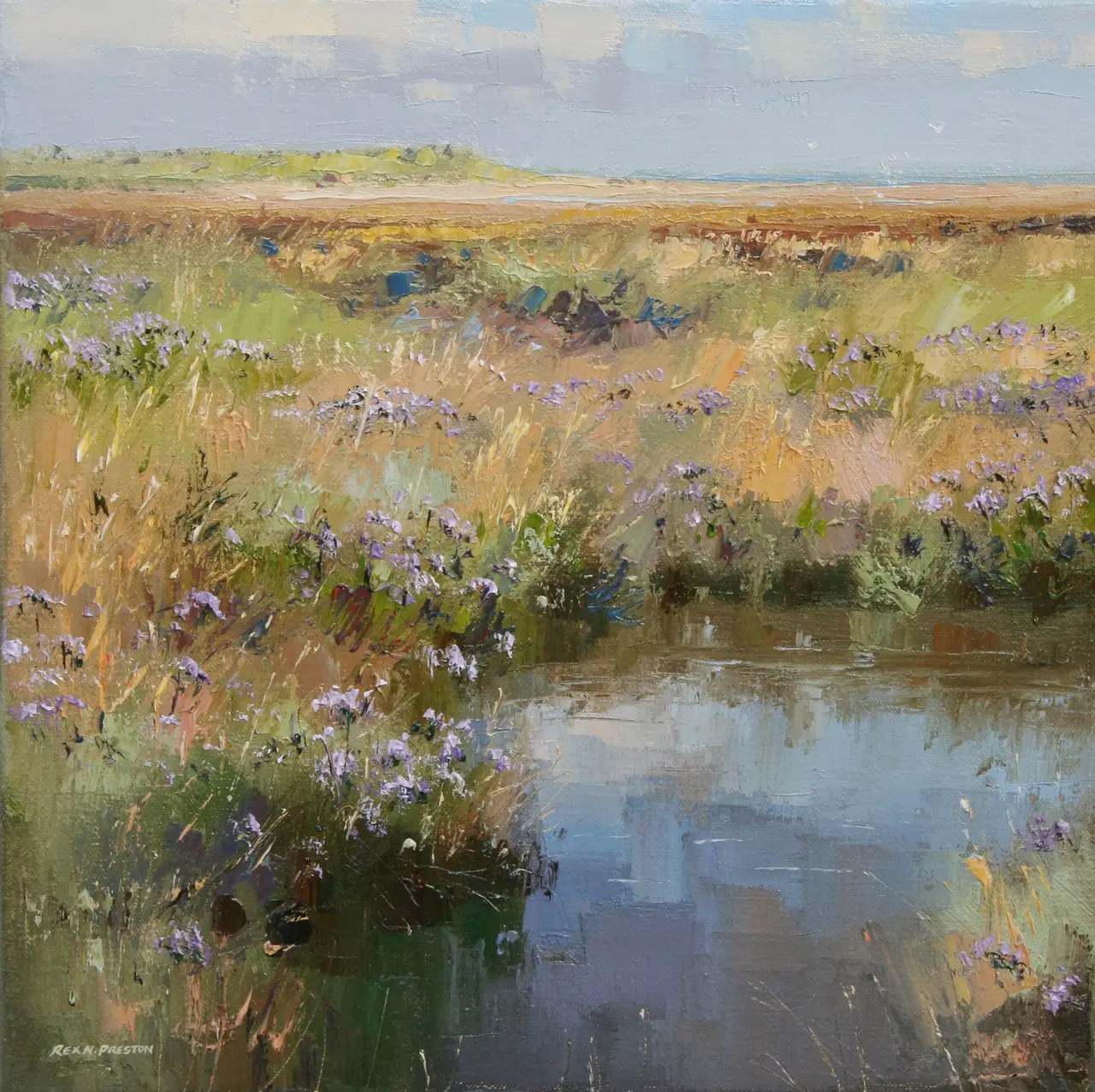 Rex Preston - sea lavender, thornham coast, norfolk