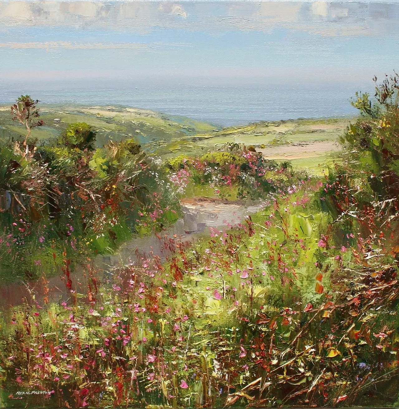 Rex Preston - red campion and sorrel, near st. ives