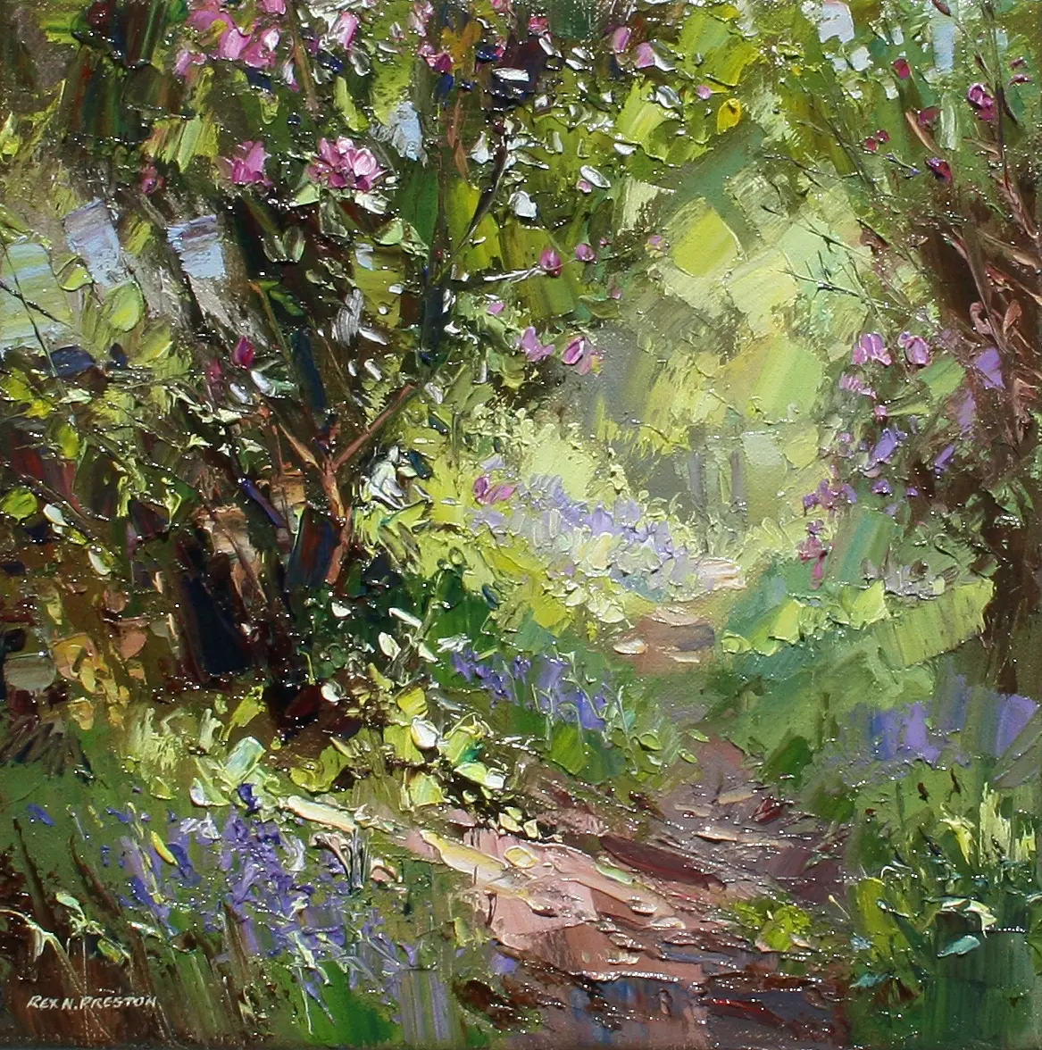 Rex Preston - dappled sunlight bramley wood