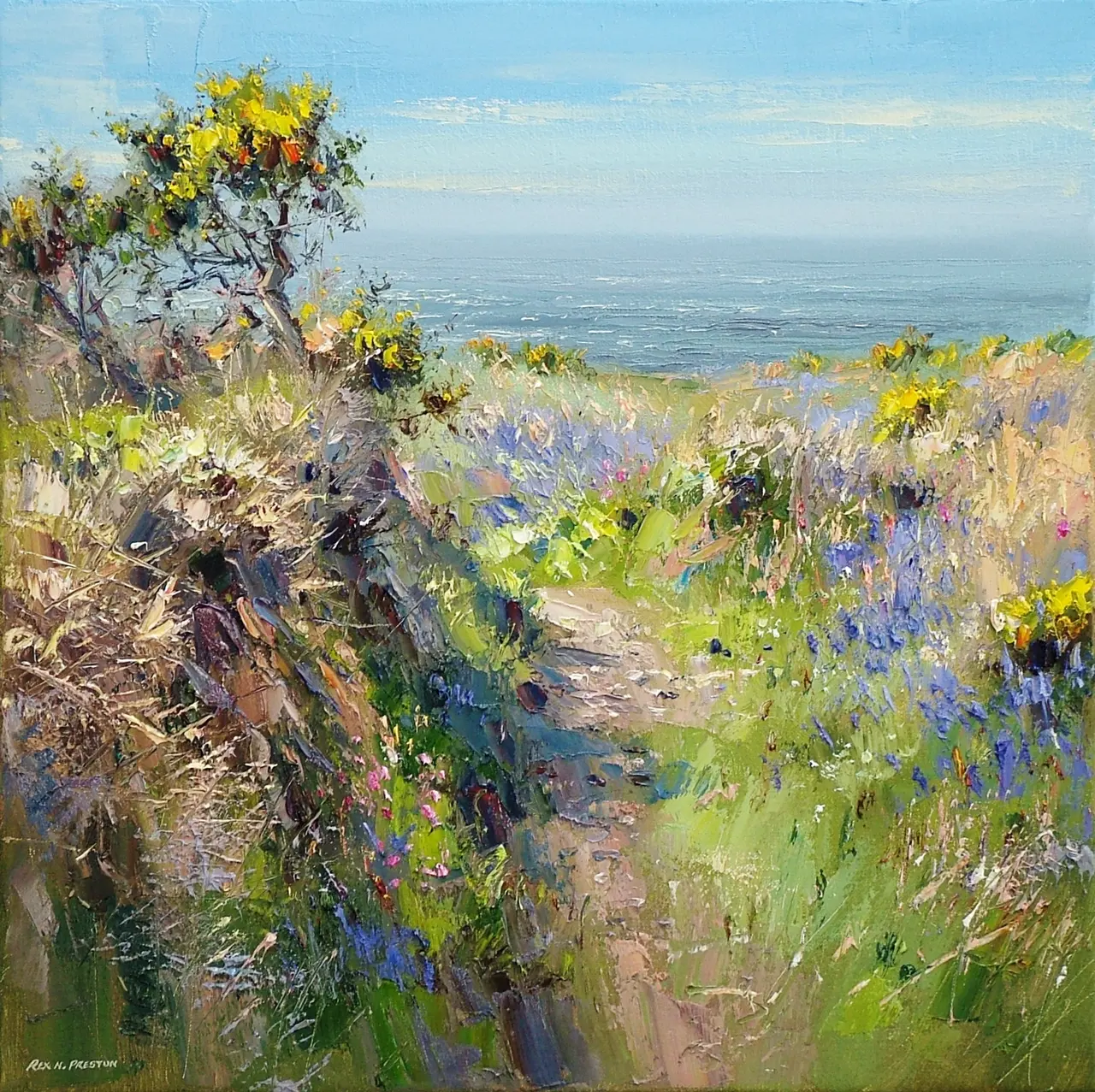 Rex Preston - sunny spring day, cornwall 