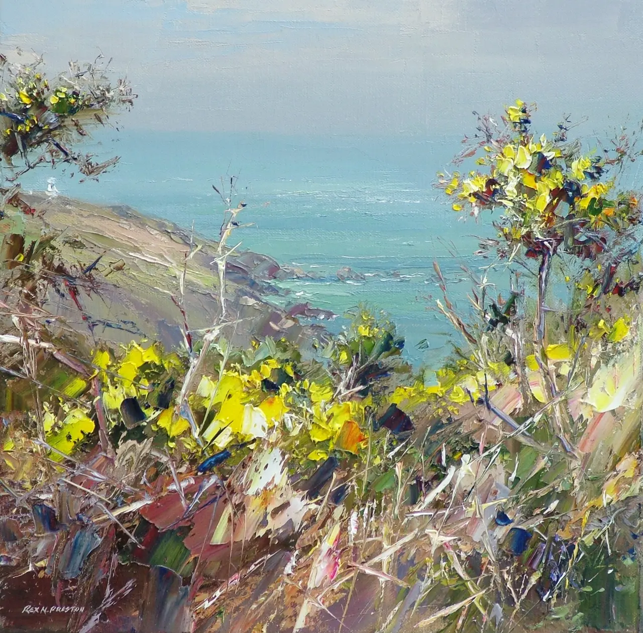 Rex Preston - gorse, portheras cove, cornwall 