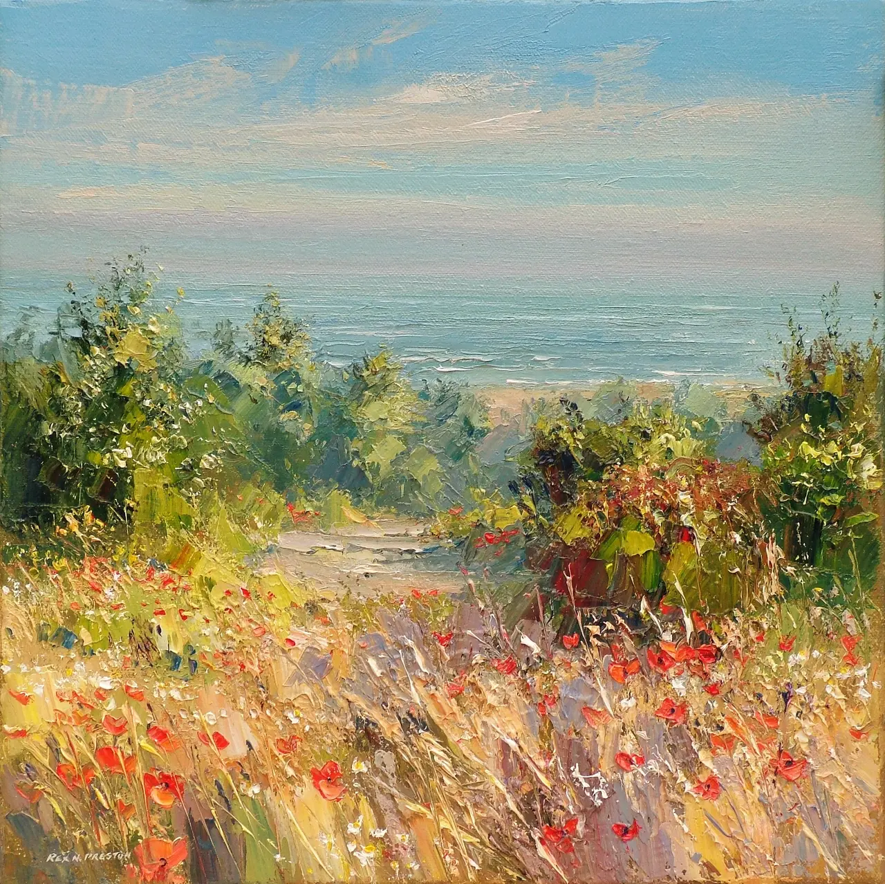 Rex Preston - coastal poppies, norfolk