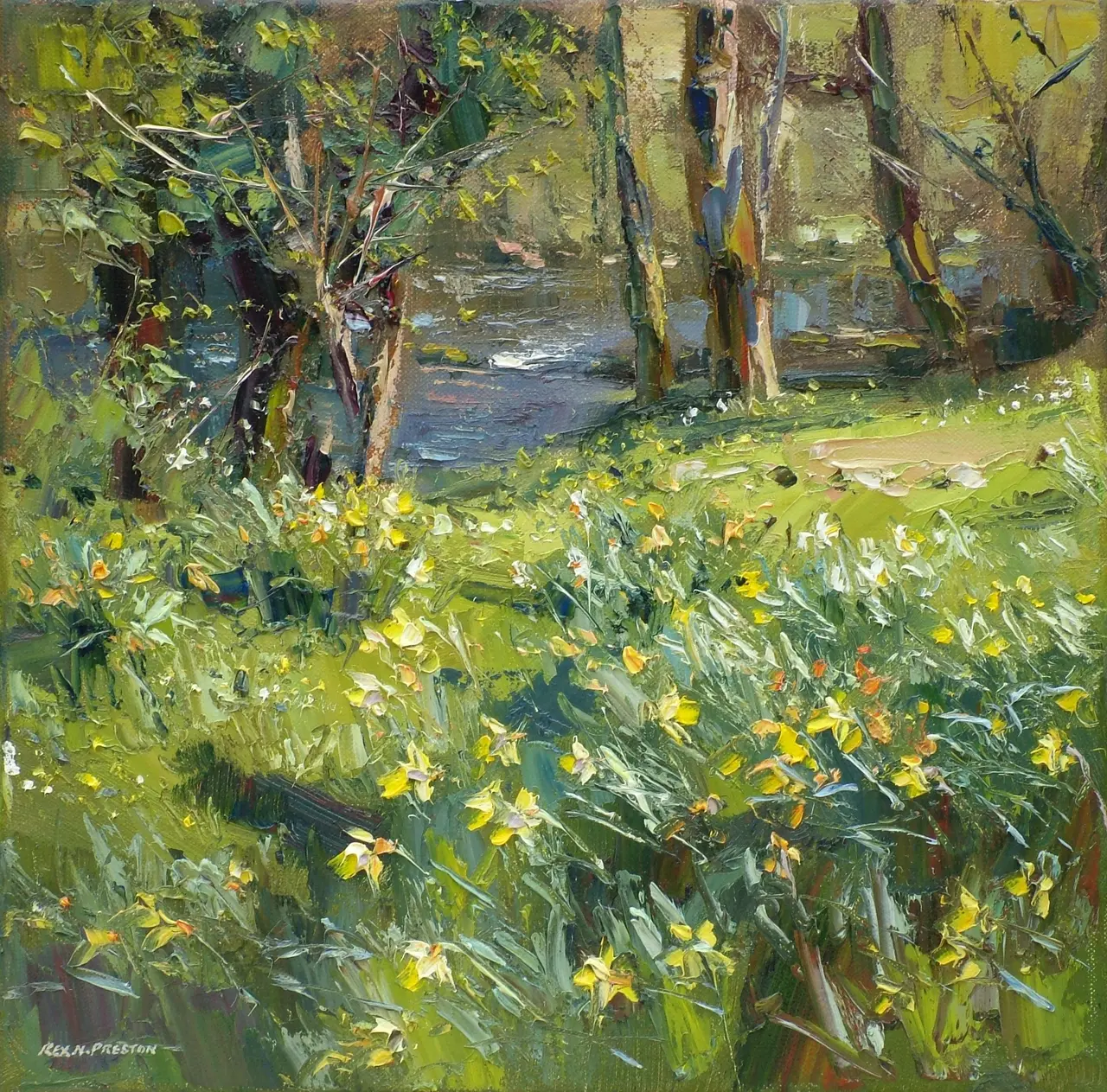 Rex Preston - daffodils by the river brathay