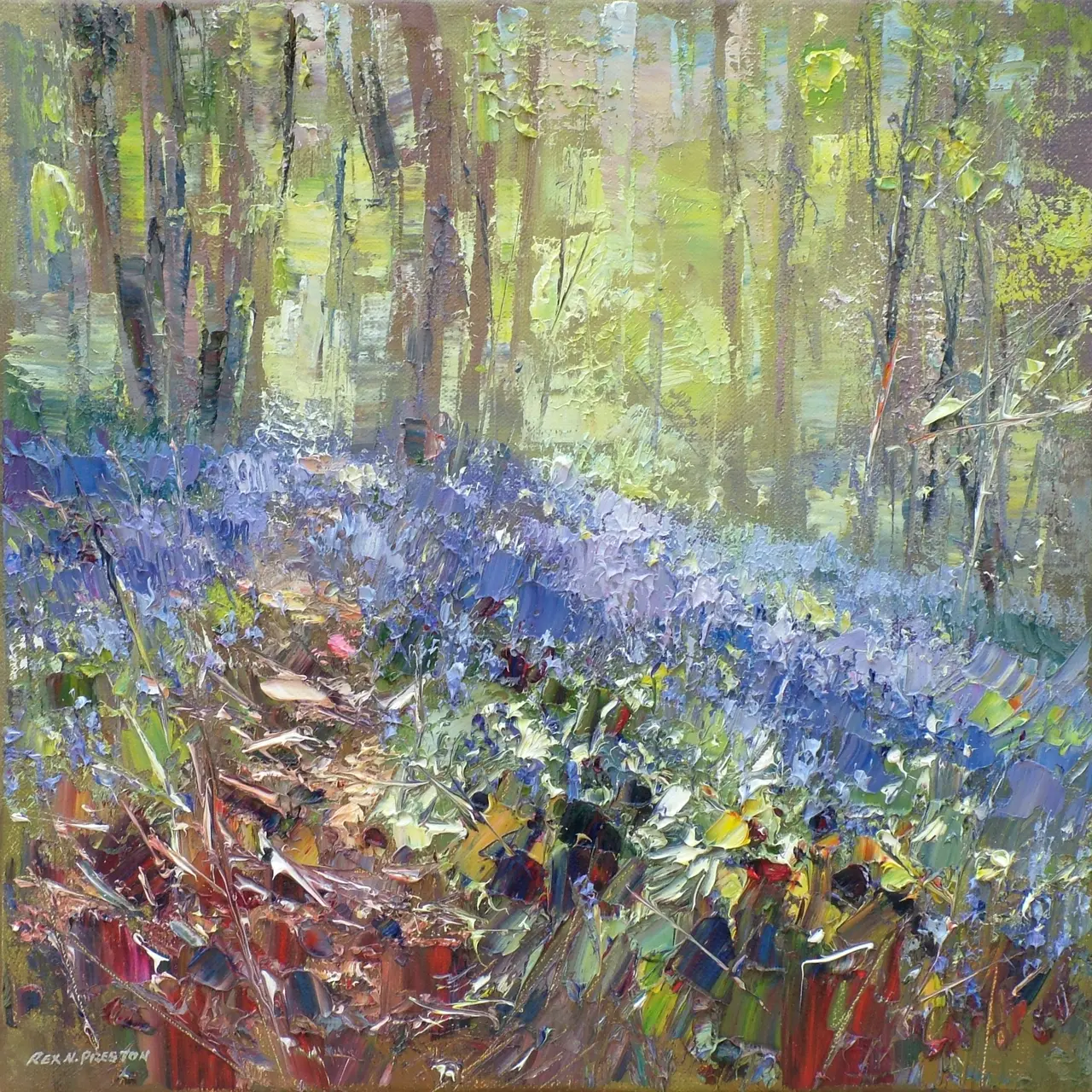 Rex Preston - spring woodland