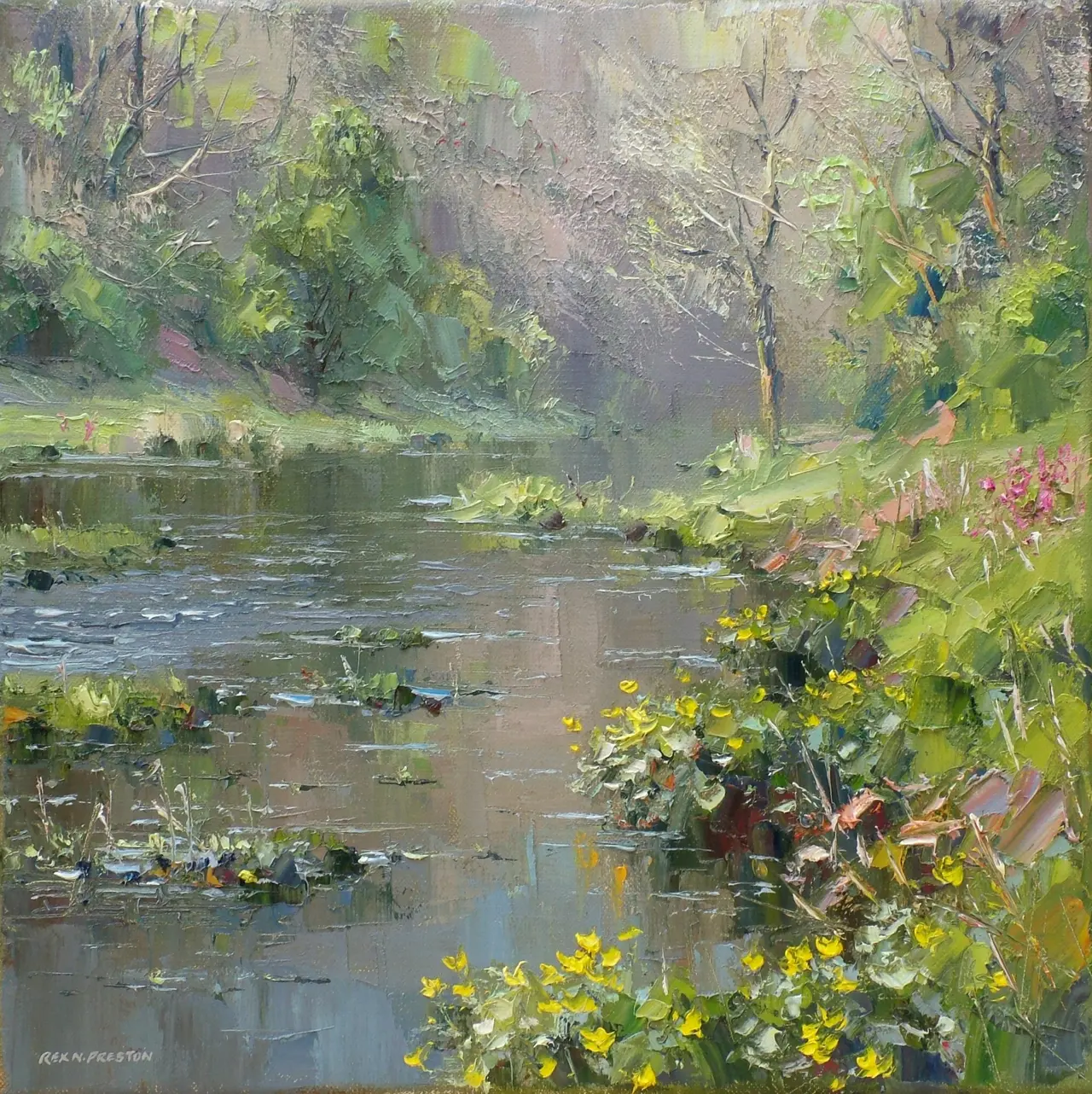Rex Preston - marsh marigolds, bradford dale