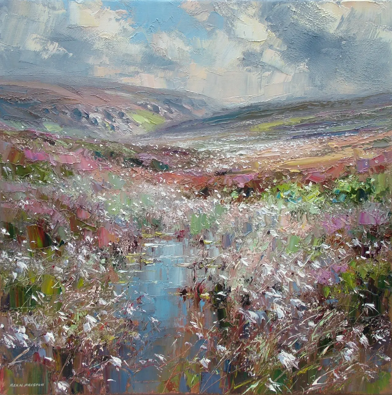 Rex Preston - cotton grass, burbage moor