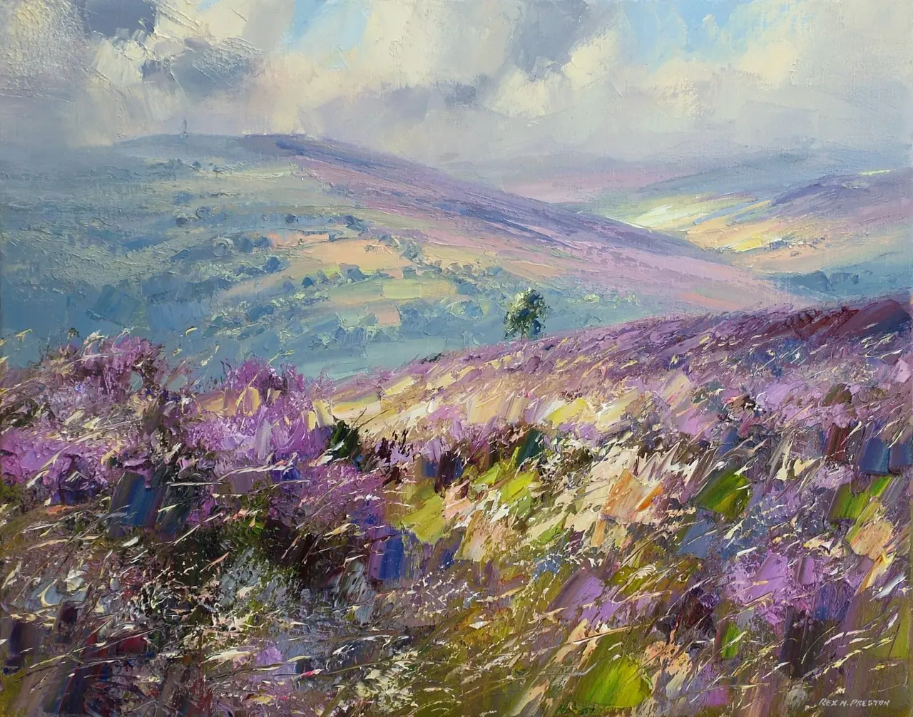 Rex Preston - sunlit grasses, white edge moor