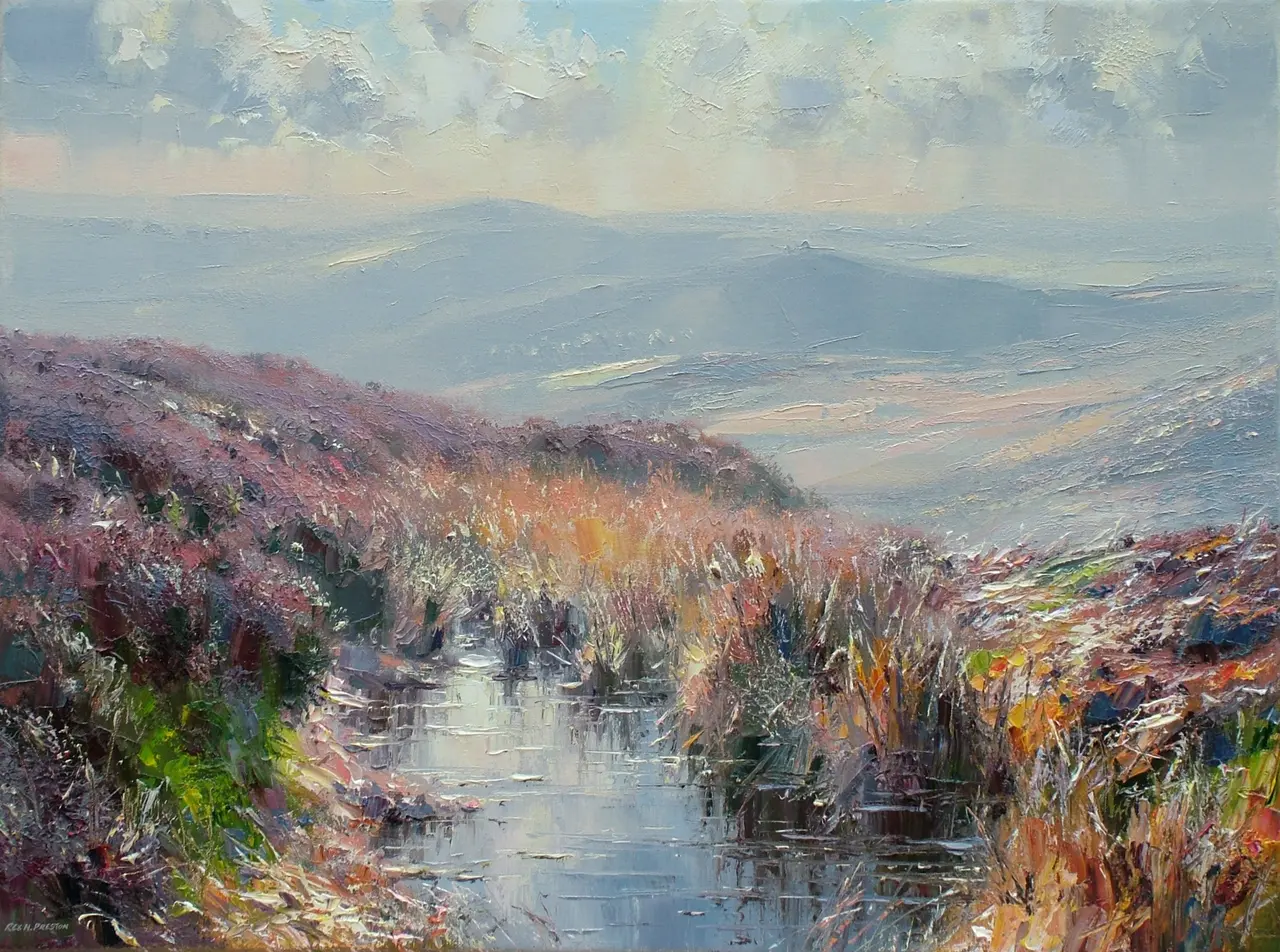 Rex Preston - view from burbage moor