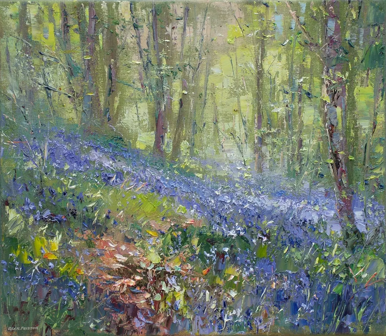 Rex Preston - sunlight, bramley woods