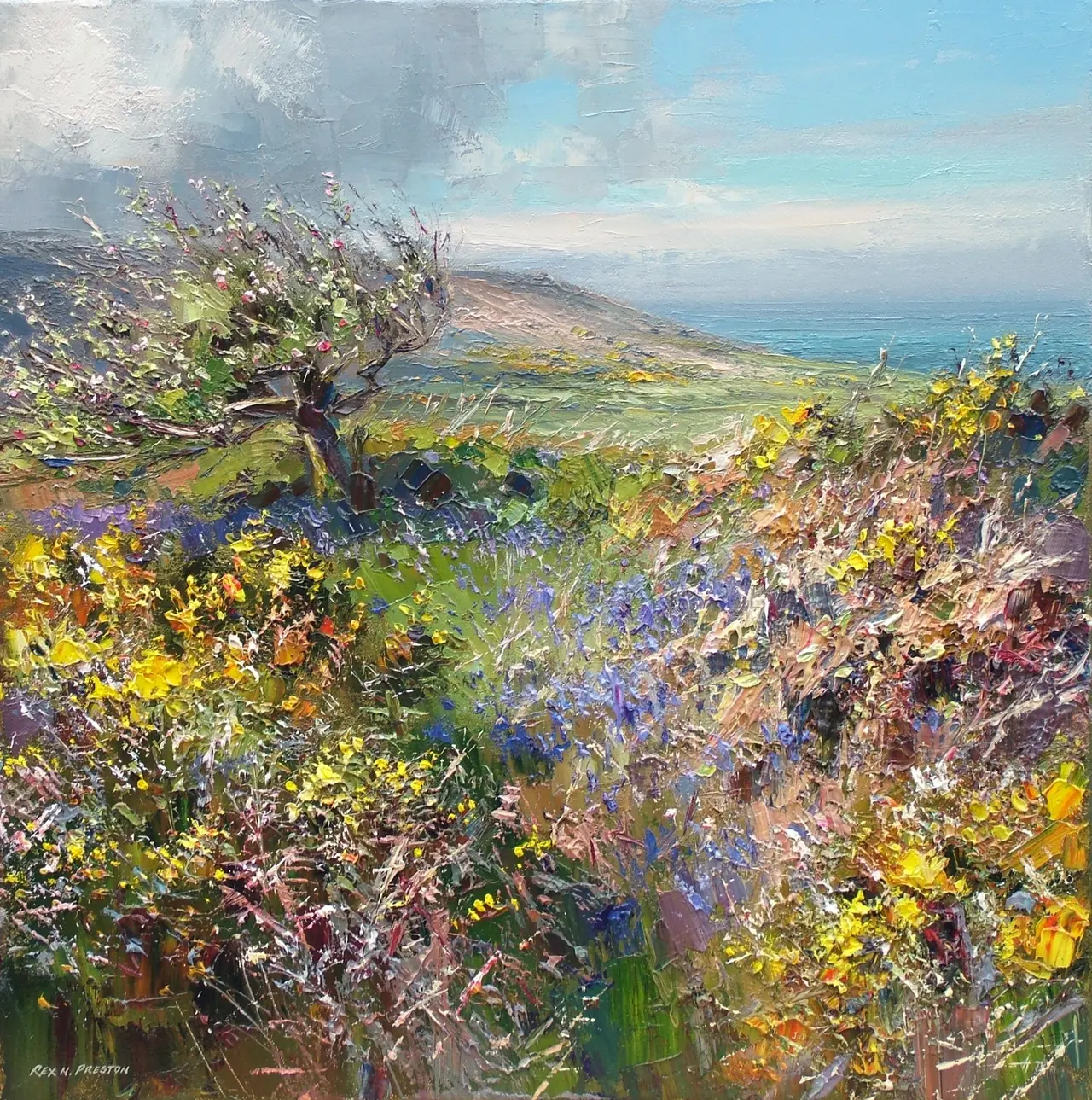 Rex Preston - springtime, trevelgan hill, near st. ives