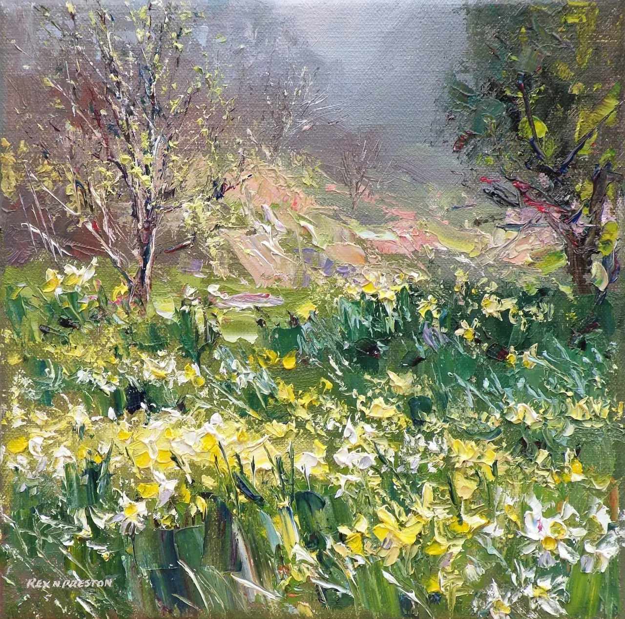 Rex Preston - lake district daffodils