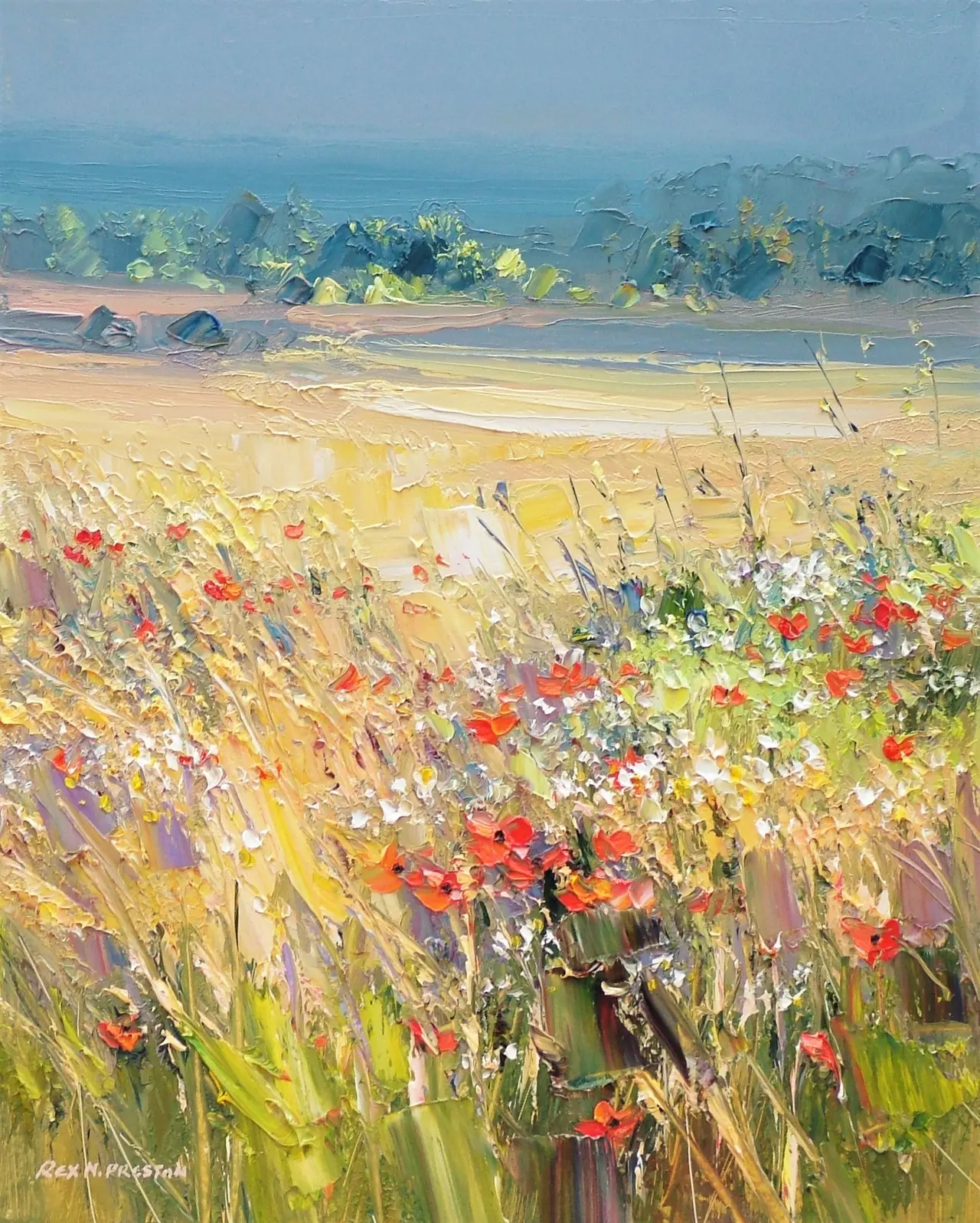 Rex Preston - sunlight and shadow, north norfolk coast