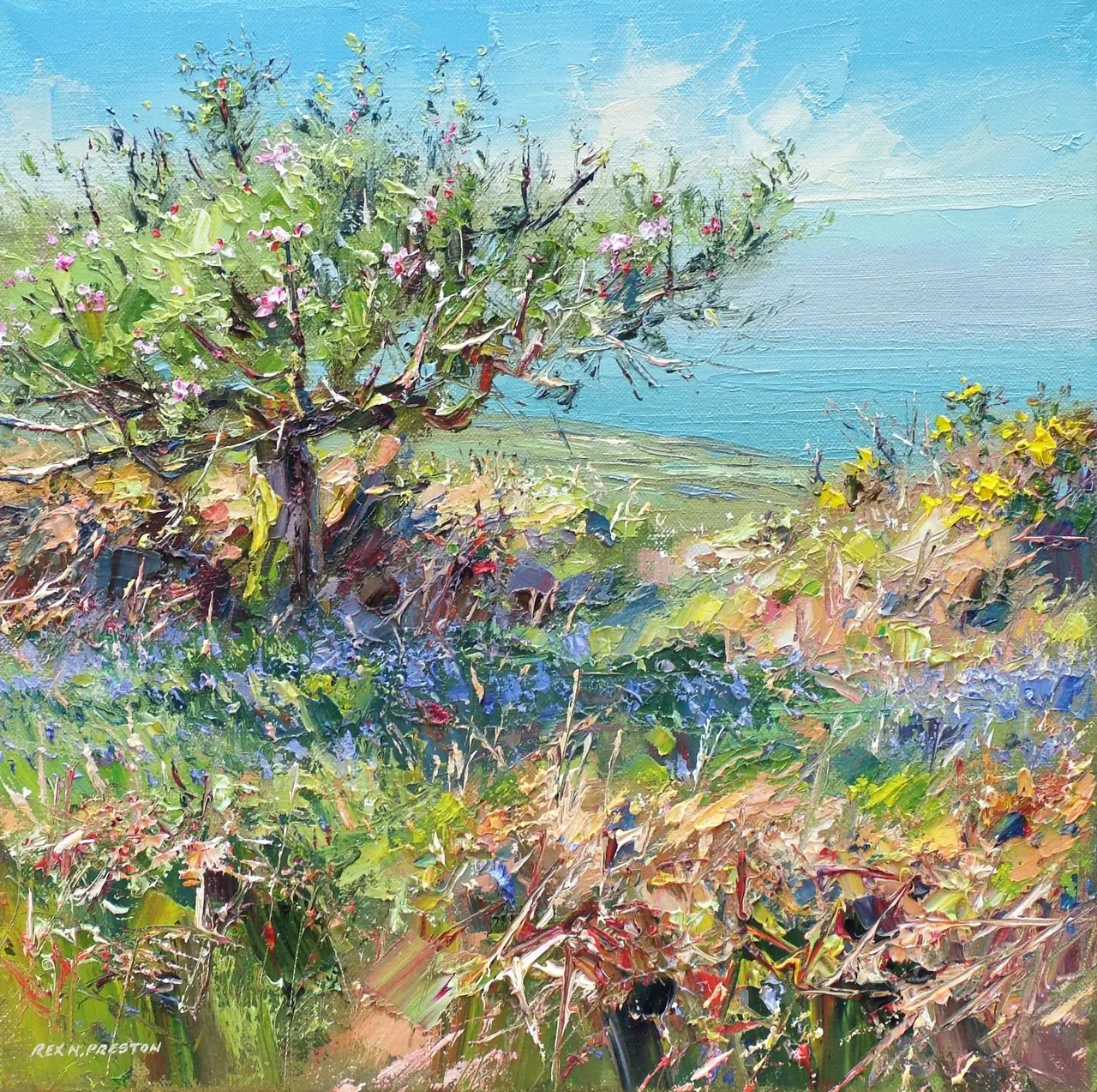Rex Preston - apple blossom, cornwall