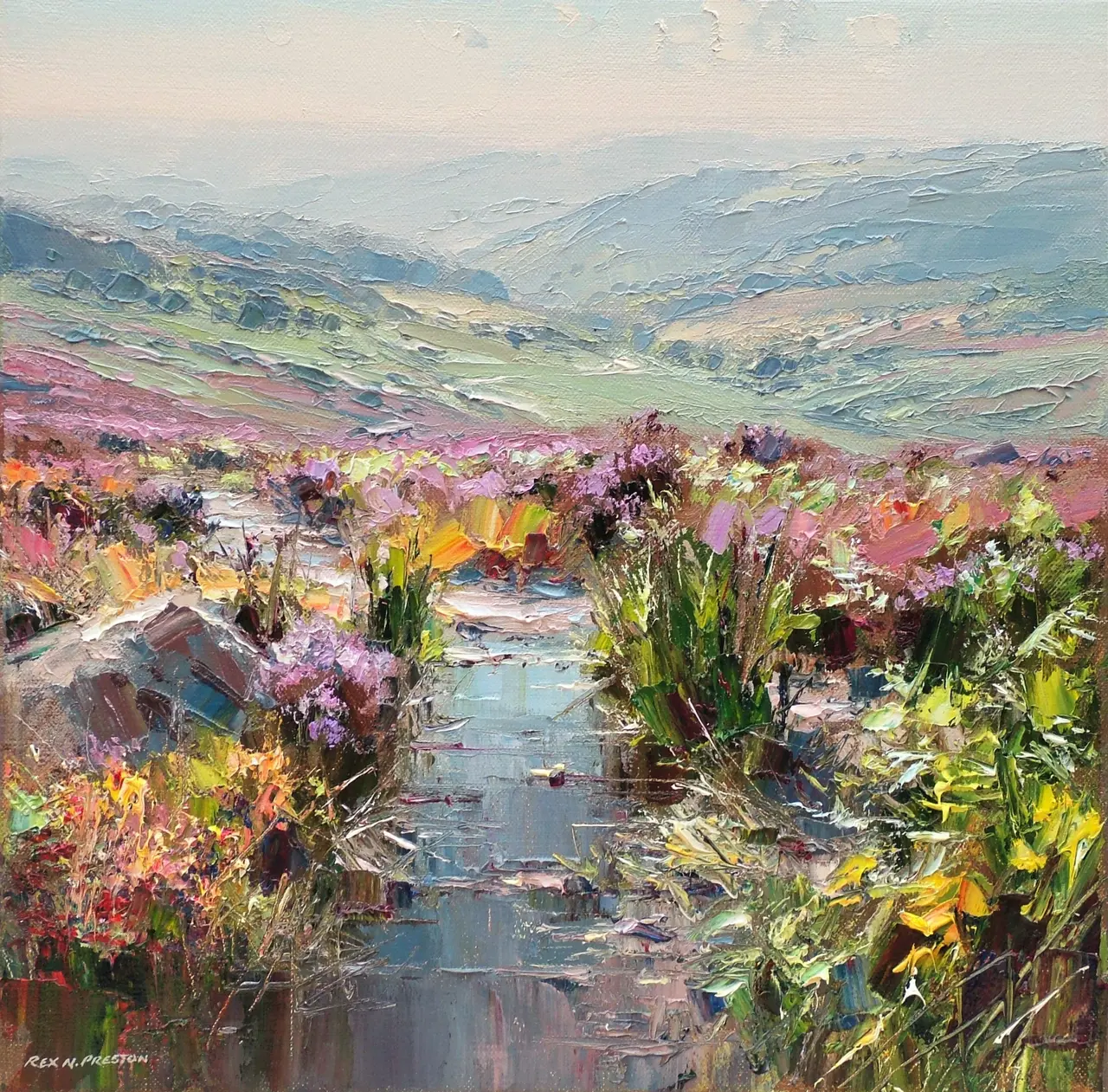 Rex Preston - august, burbage moor