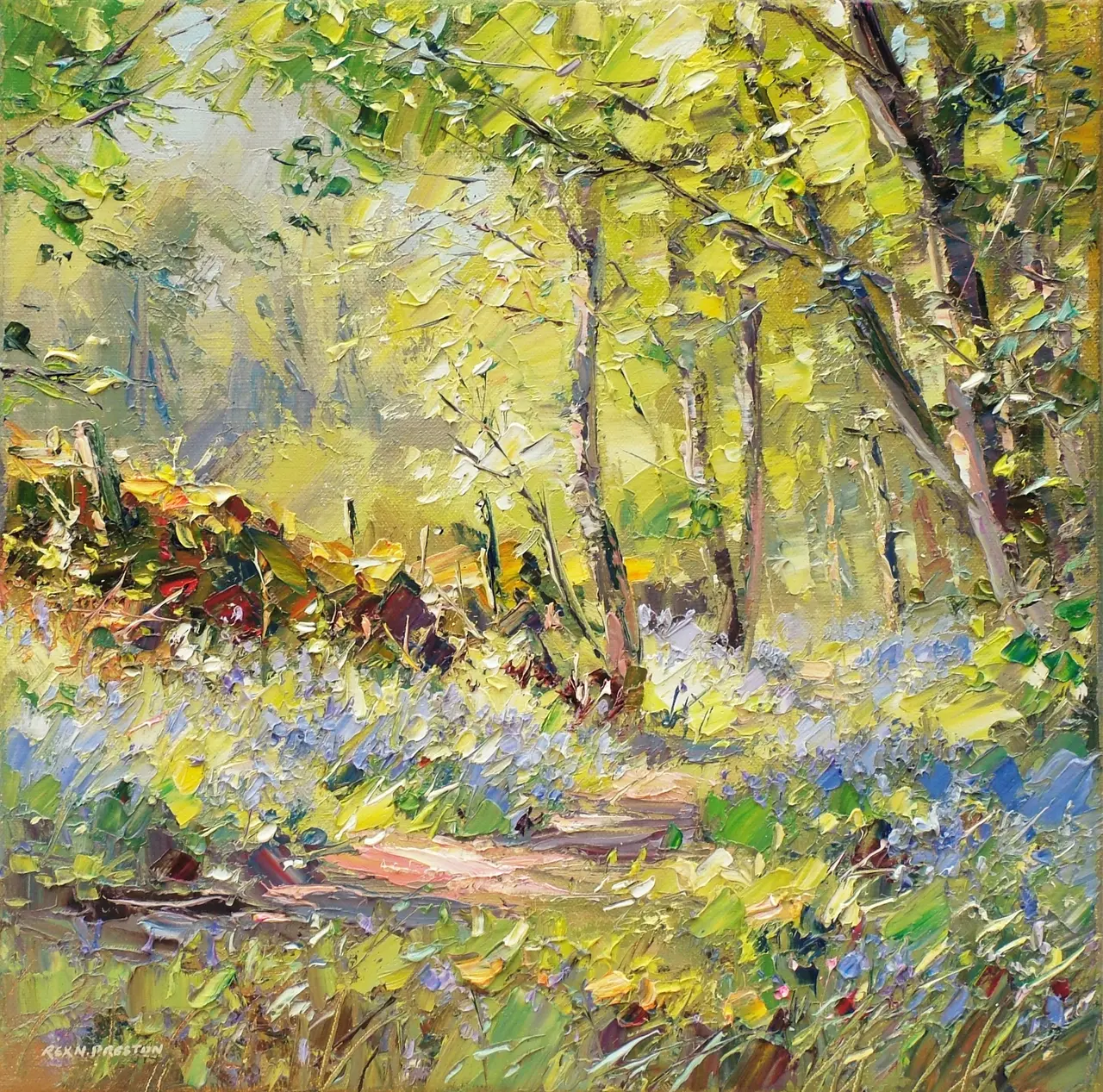 Rex Preston - woodland pathway