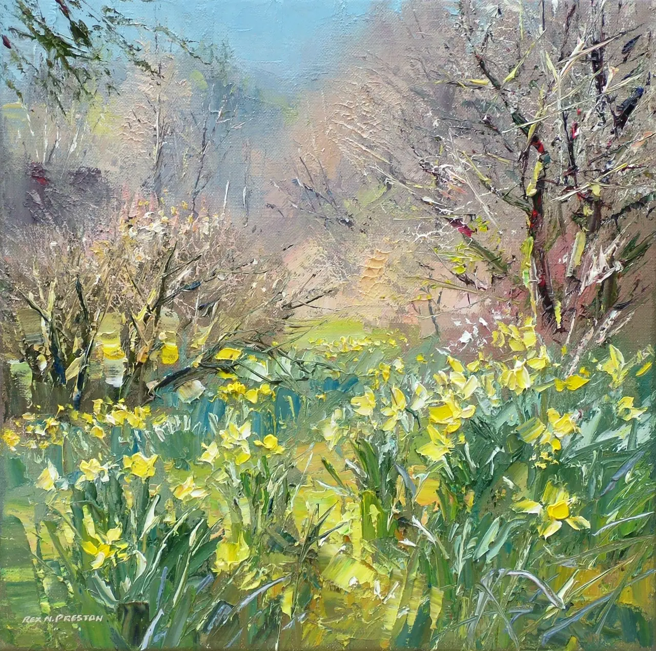 Rex Preston - woodland daffodils, lake district