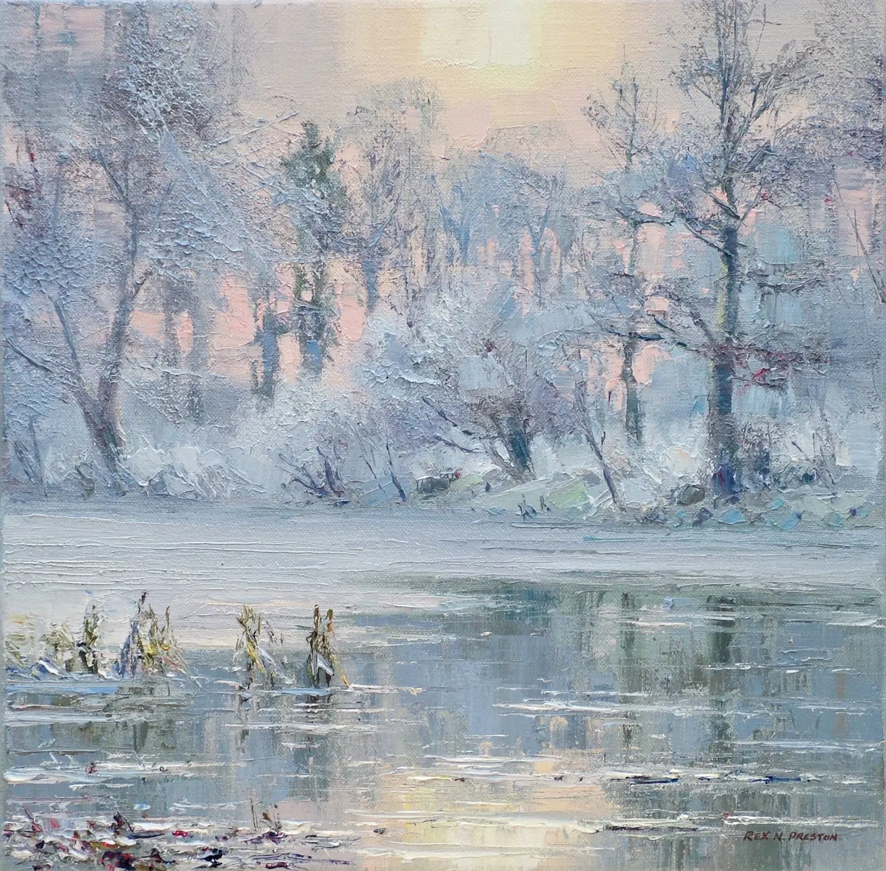 Rex Preston - hoar frost and winter sun