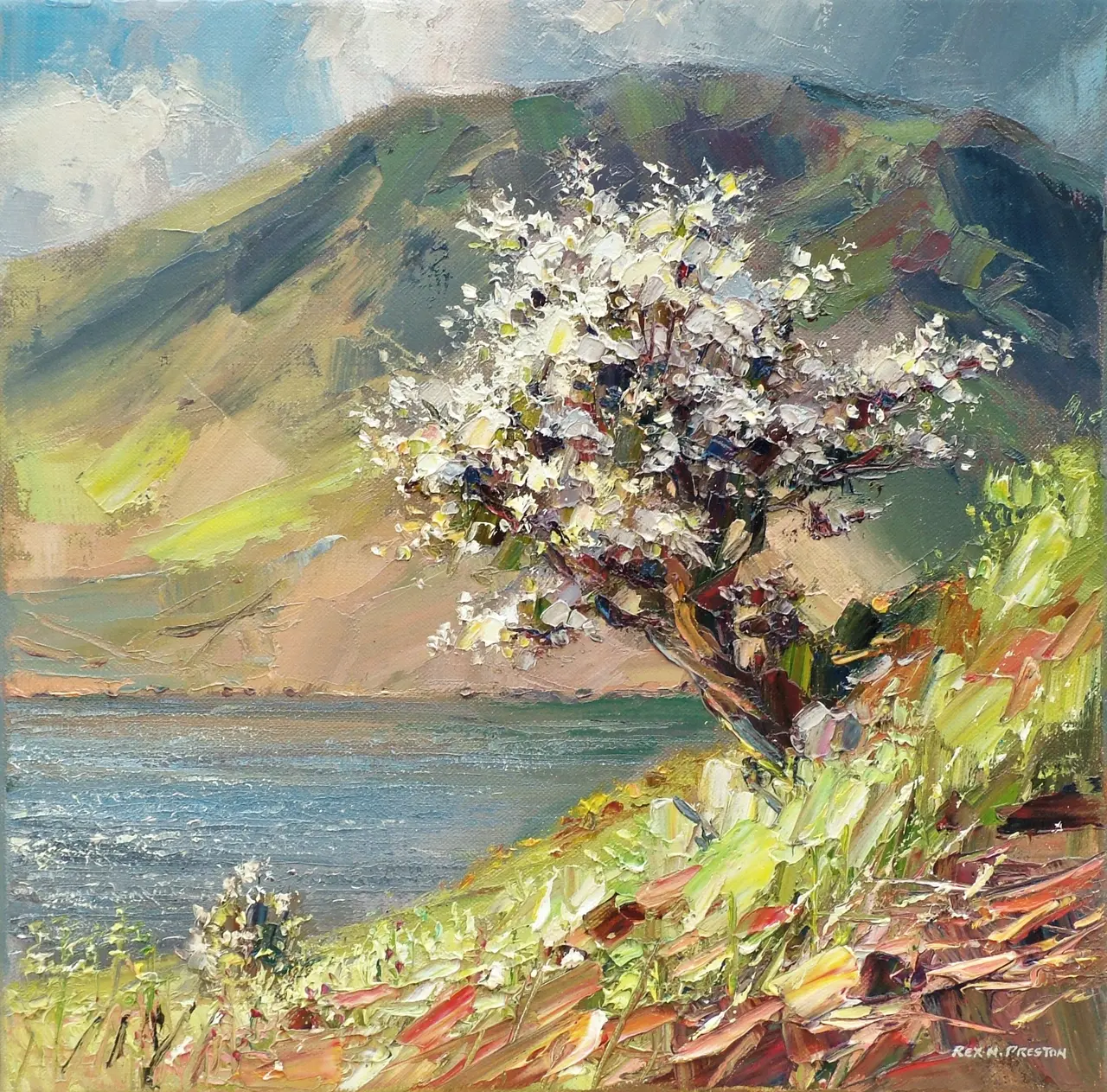Rex Preston - mayblossom, crummock water