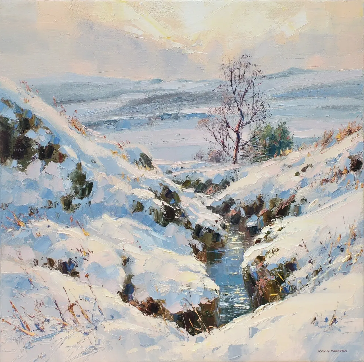 Rex Preston - march snow, burbage moor