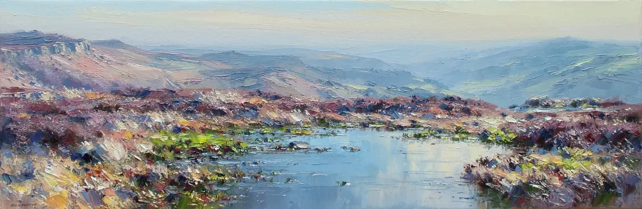 Rex Preston - moorland pool, stanage edge