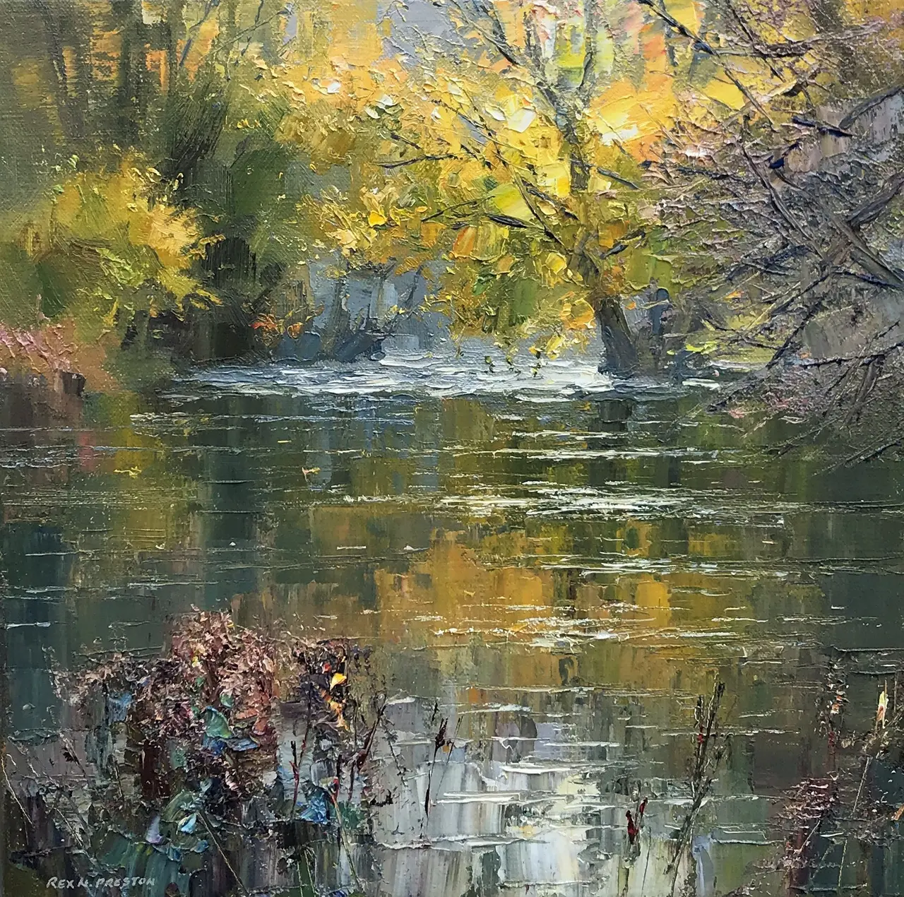 Rex Preston - reflections, monsal dale