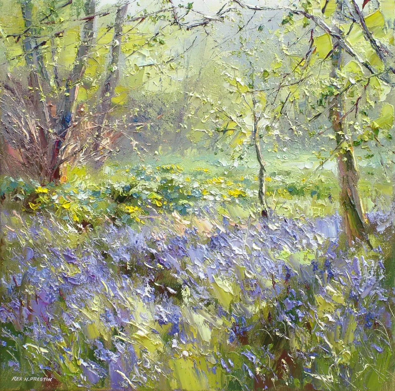 Rex Preston - bluebells and marsh marigolds