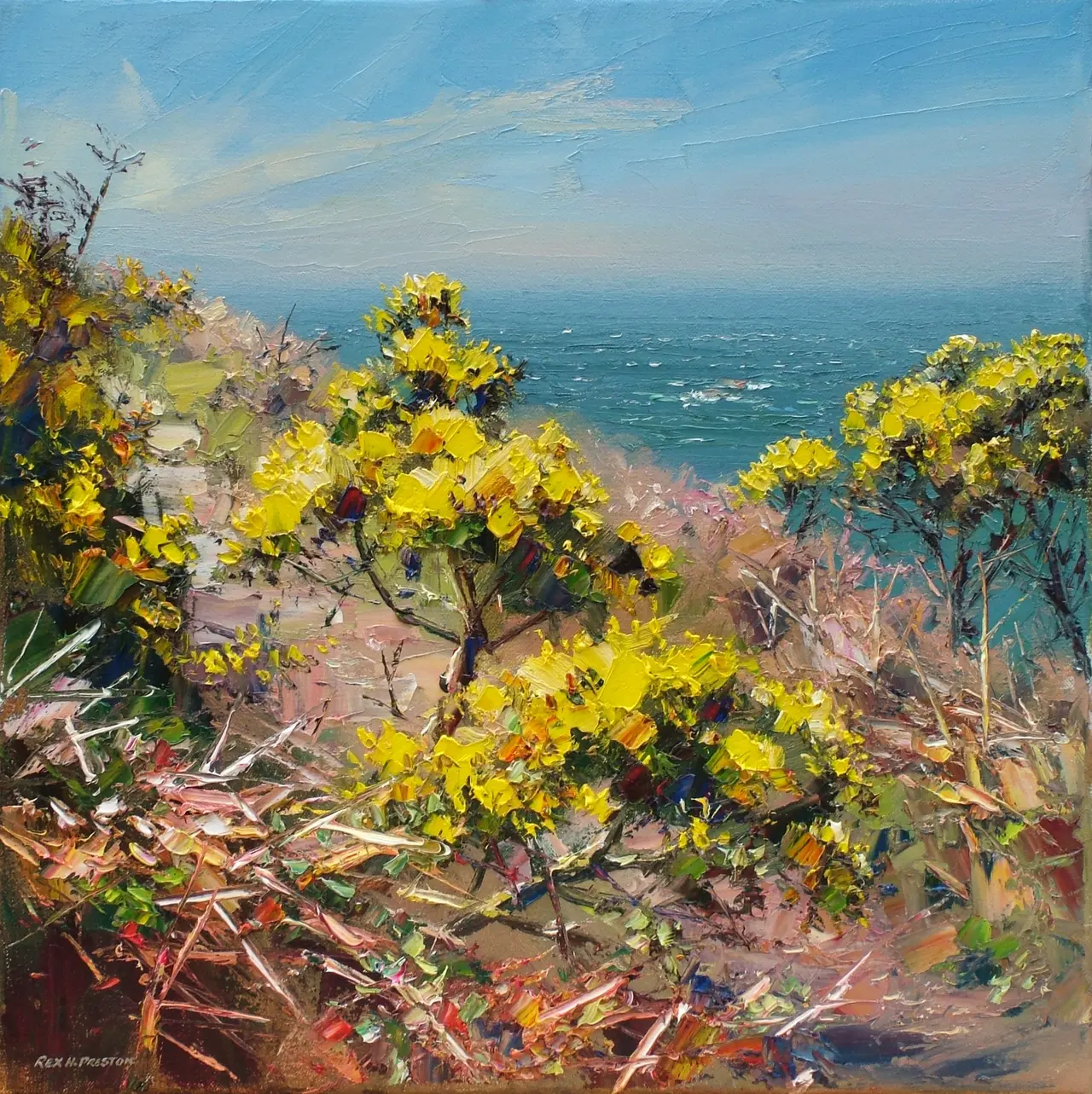 Rex Preston - gorse, portheras cove
