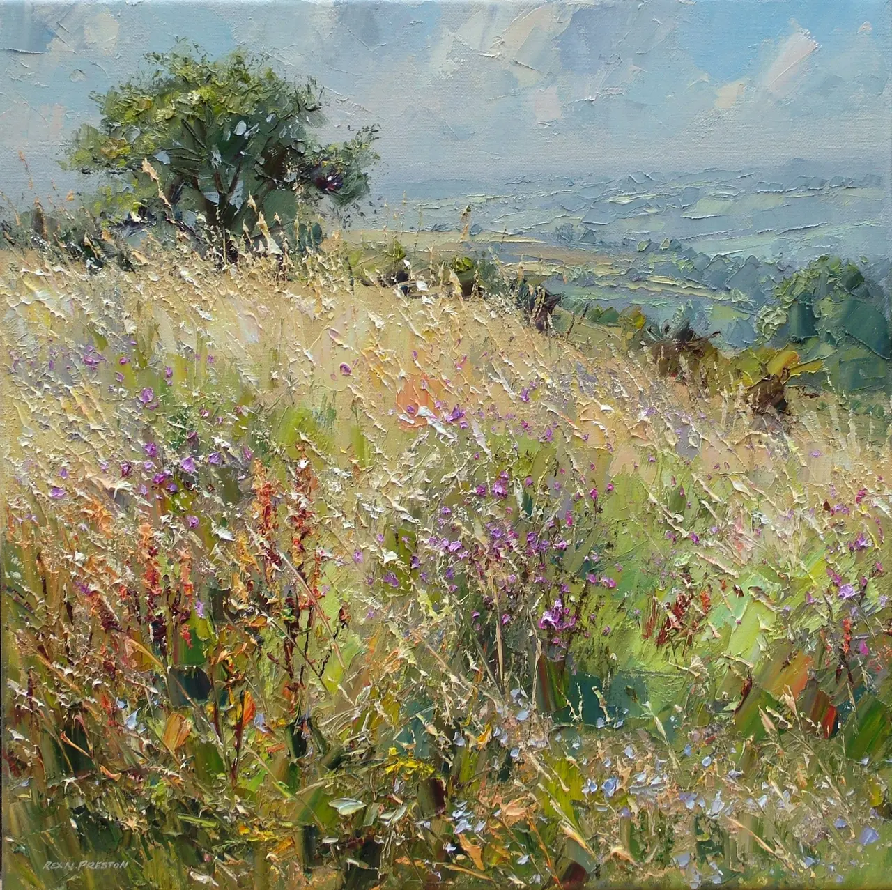 Rex Preston - summer morning in the meadow