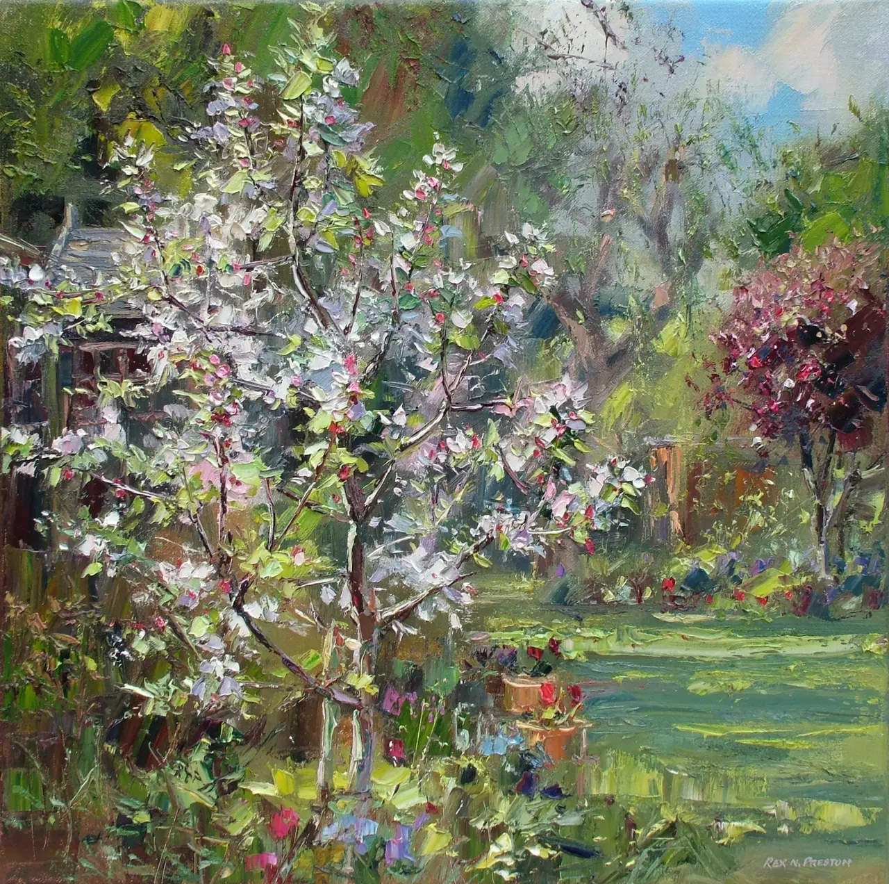 Rex Preston - apple blossom